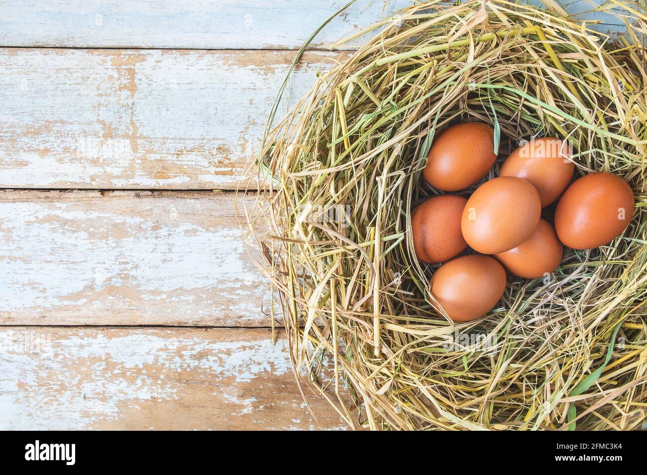 Uova fresche crude della fattoria Foto Stock
