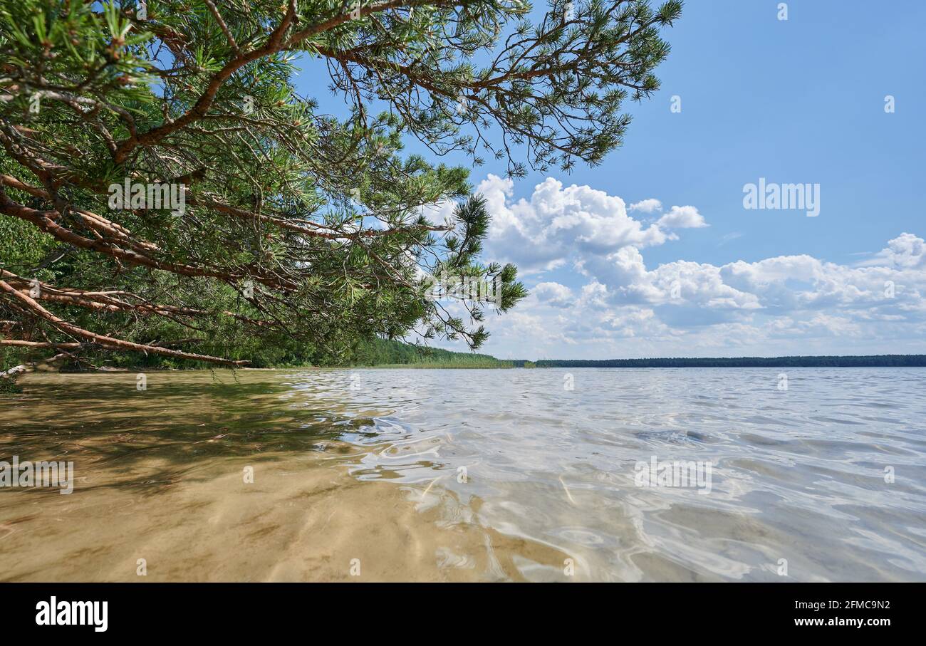 Acqua pulita del lago sullo sfondo della foresta con sfondo blu del cielo Foto Stock