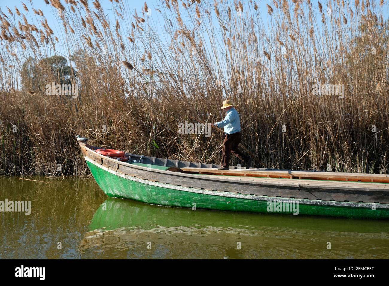 Un barcaiolo che indossa un cappello di paglia sulla sua lunga barca da riceboat sotto i torelli nella laguna d'acqua dolce del Parco Naturale di Albufera vicino a Valentia, Spagna Foto Stock