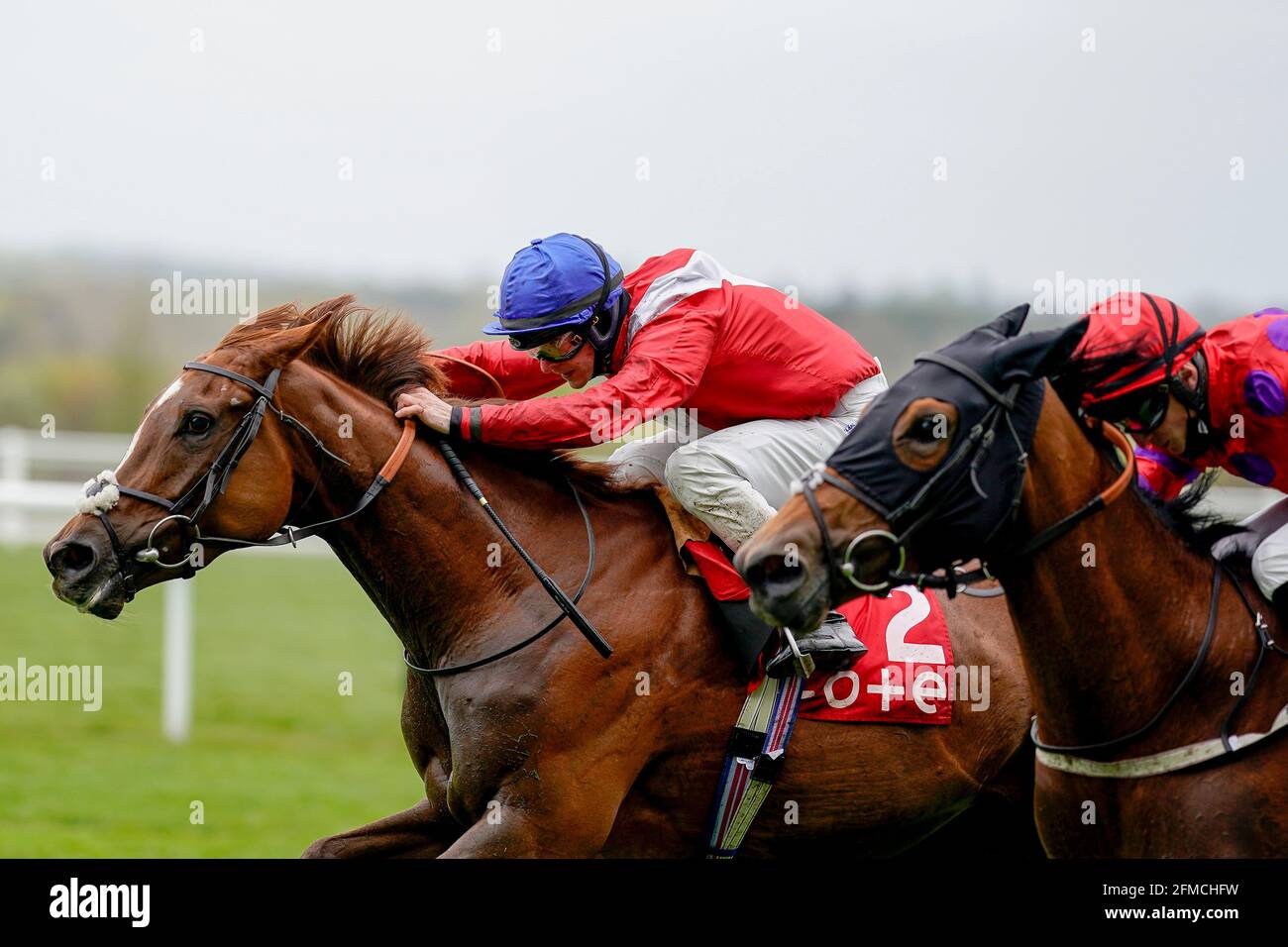 Lights on ridden by Richard Kingscote (tappo blu) vince la tote+ in esclusiva al tote.co.uk British EBF Fillies' handicap durante il Tote+ May Racing Weekend 2021 presso l'ippodromo di Ascot. Data immagine: Sabato 8 maggio 2021. Guarda la storia di PA RACING Ascot. Il credito fotografico dovrebbe essere: Alan Croshurst/PA Wire. RESTRIZIONI: L'uso è soggetto a limitazioni. Solo per uso editoriale, nessun uso commerciale senza previo consenso del titolare dei diritti. Foto Stock