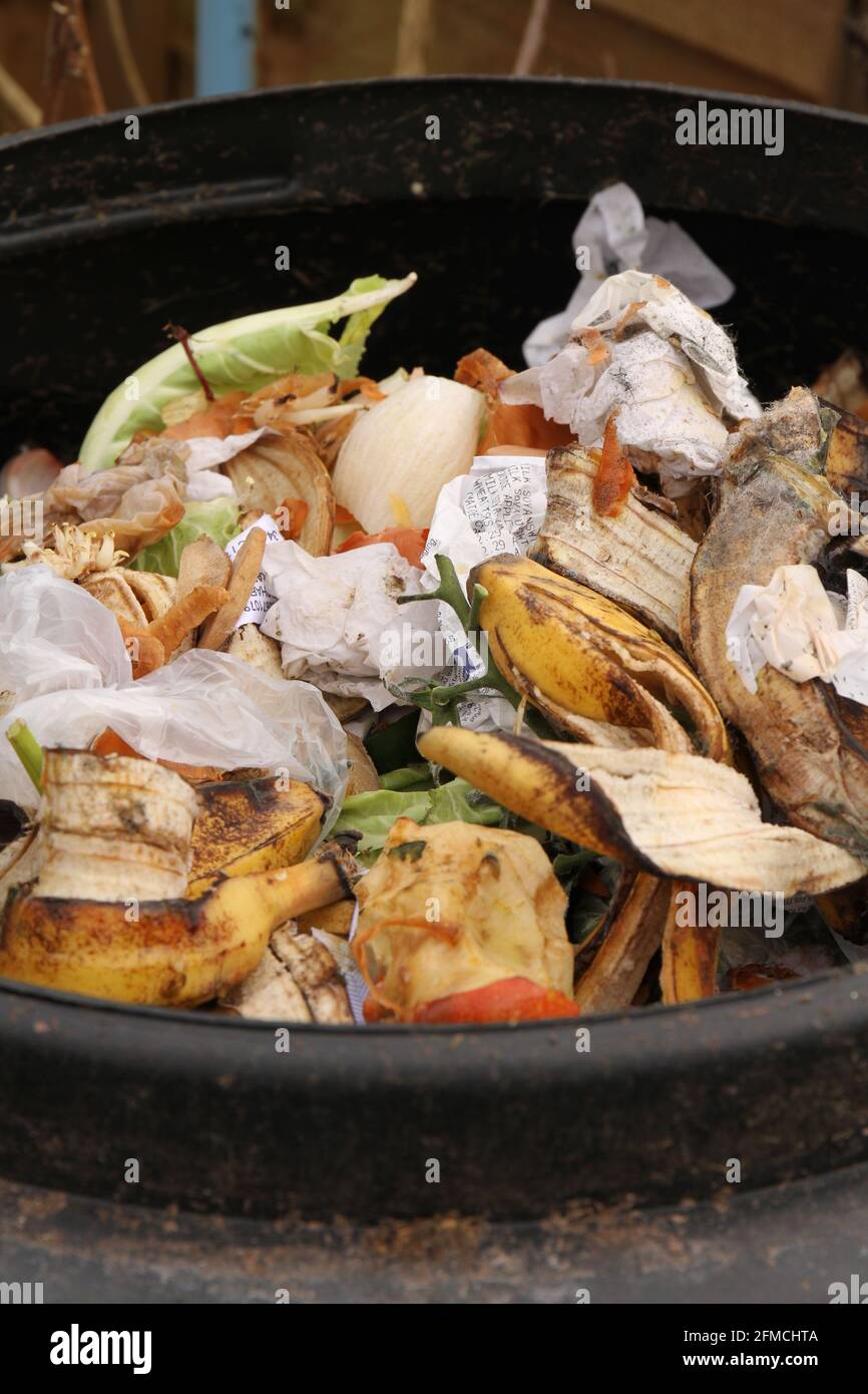 Contenuto di un bidone di compost esterno compreso spreco vegetale per produrre compost di giardino ecologico e ridurre i rifiuti. Foto Stock