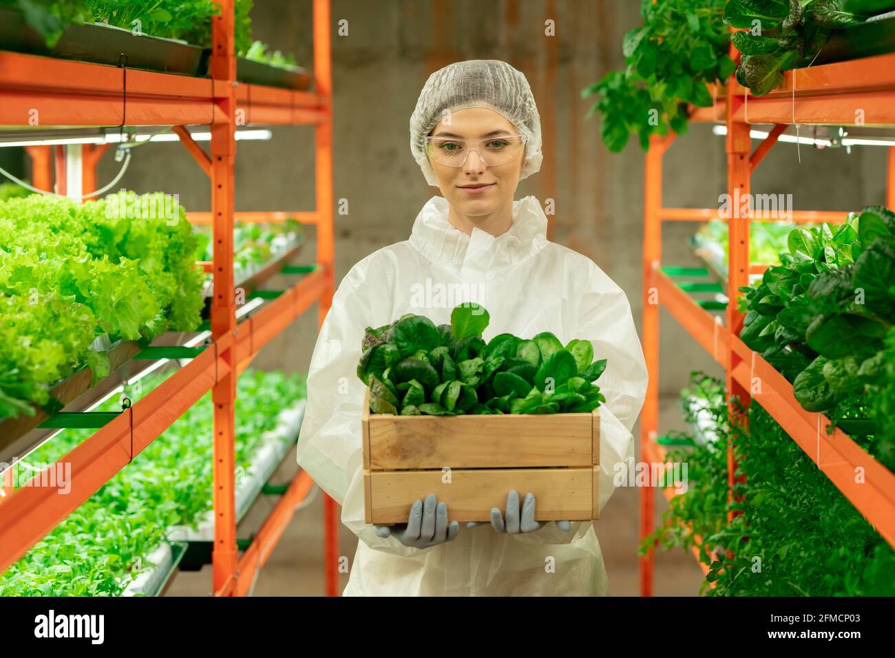 Ritratto di sorridente giovane ingegnere conservatorio in tuta protettiva e cappuccio usa e getta che tiene scatola di legno di giovani pianta di lattuga Foto Stock