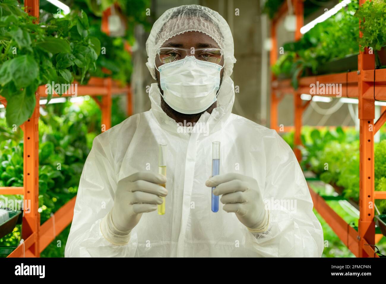 Ritratto di un giovane coltivatore afroamericano in berretto, maschera e occhiali di sicurezza in piedi con provette di liquidi colorati in azienda verticale Foto Stock