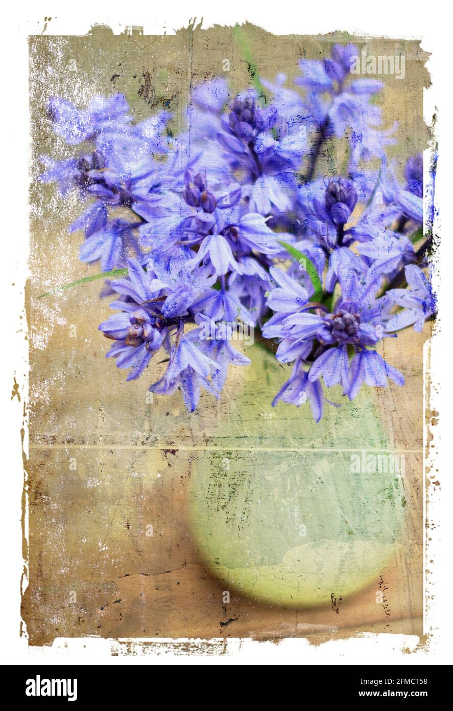 Bluebells in un vaso di vetro verde chiaro / Still Life © Clarissa Debenham/Alamy Foto Stock