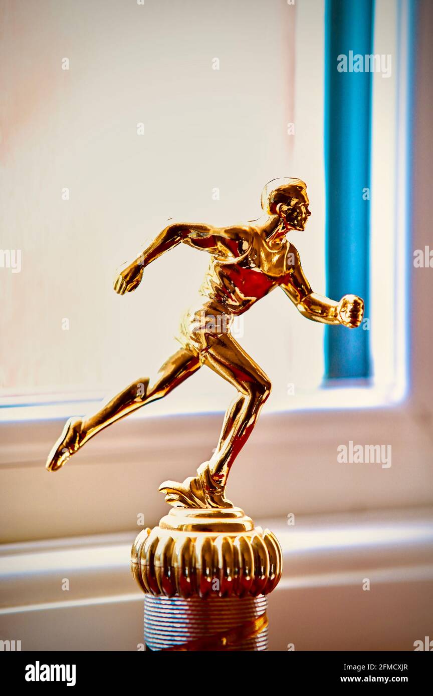 Trofeo in esecuzione sulla sporgenza della finestra Foto Stock