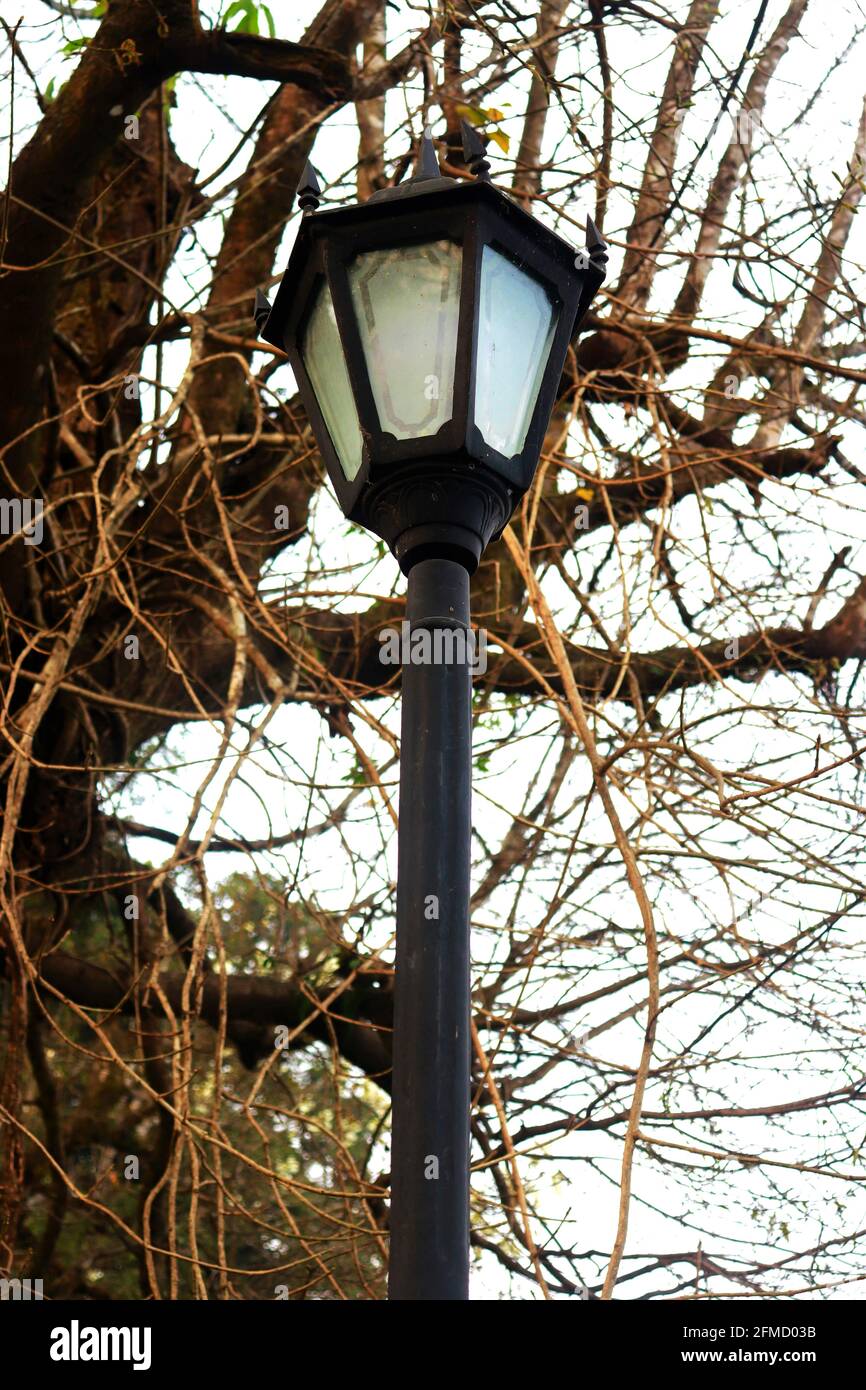 Il palo della lampada si trova al centro commerciale Darjeeling Mall nel Bengala Occidentale, India Foto Stock