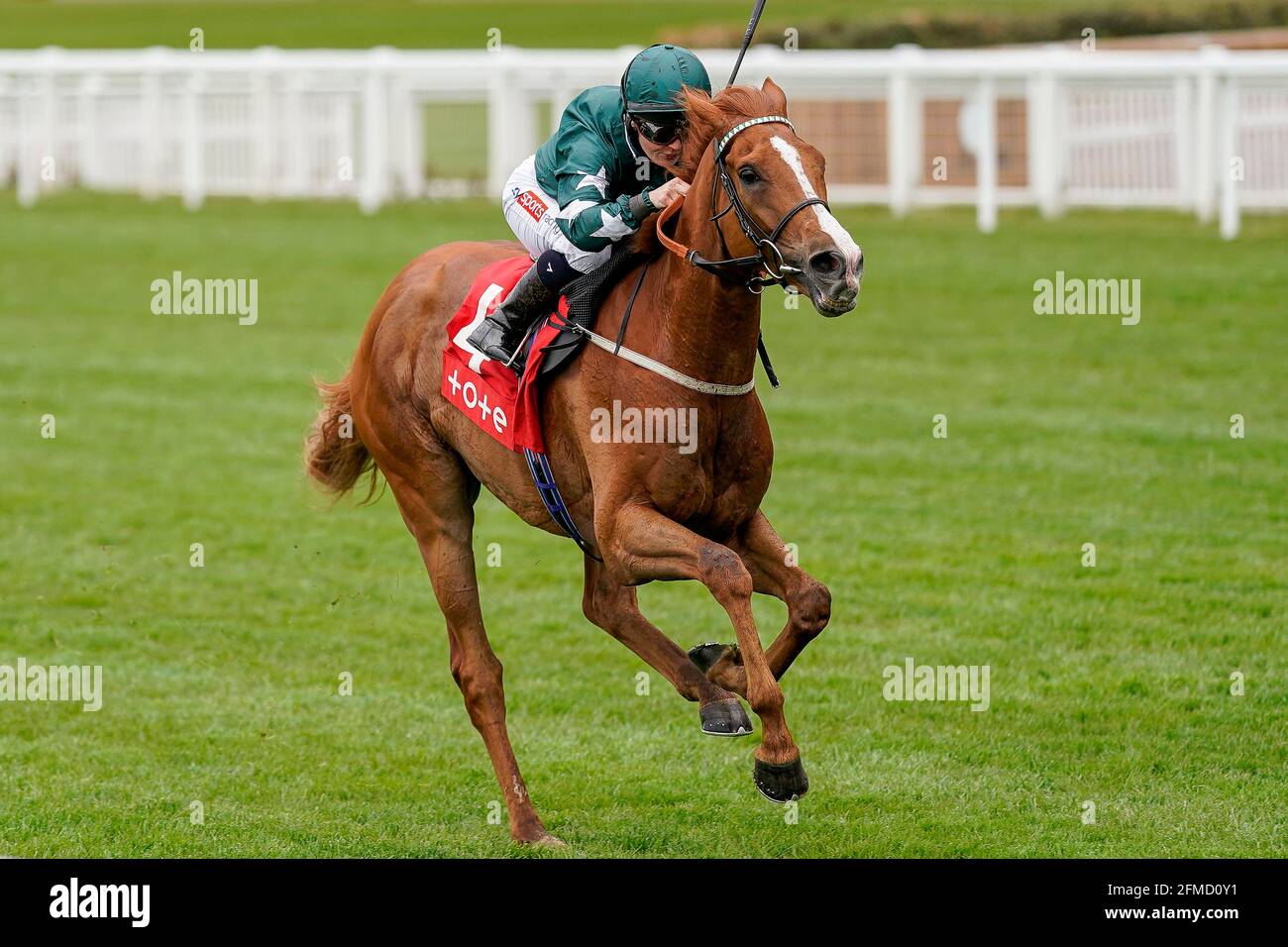 Louganini guidato da Hollie Doyle vince la tote+ in esclusiva a tote.co.uk handicap durante il Tote+ May Racing Weekend 2021 presso l'ippodromo di Ascot. Data immagine: Sabato 8 maggio 2021. Guarda la storia di PA RACING Ascot. Il credito fotografico dovrebbe essere: Alan Croshurst/PA Wire. RESTRIZIONI: L'uso è soggetto a limitazioni. Solo per uso editoriale, nessun uso commerciale senza previo consenso del titolare dei diritti. Foto Stock