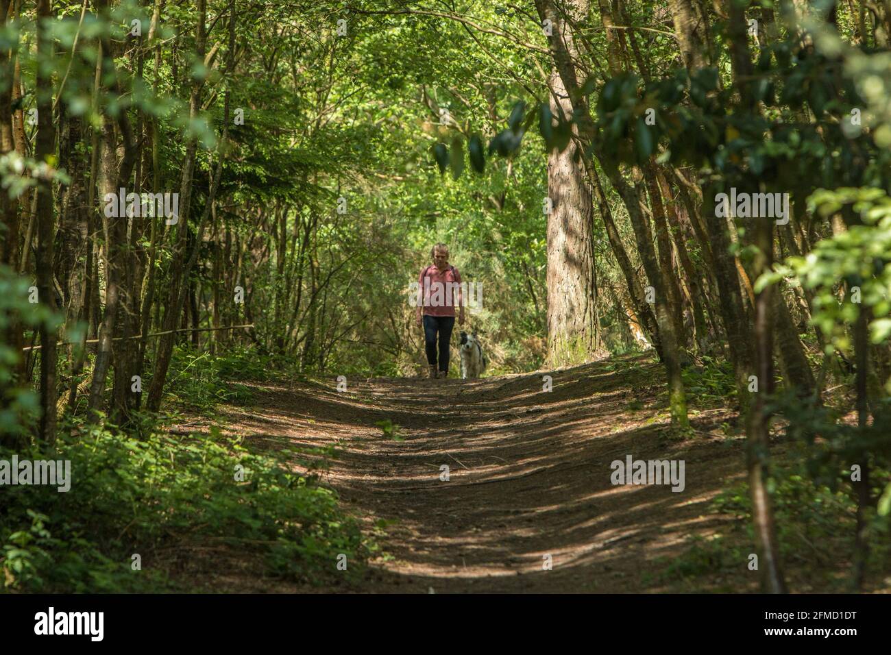 Comune di Blackheath, Surrey, Inghilterra Foto Stock