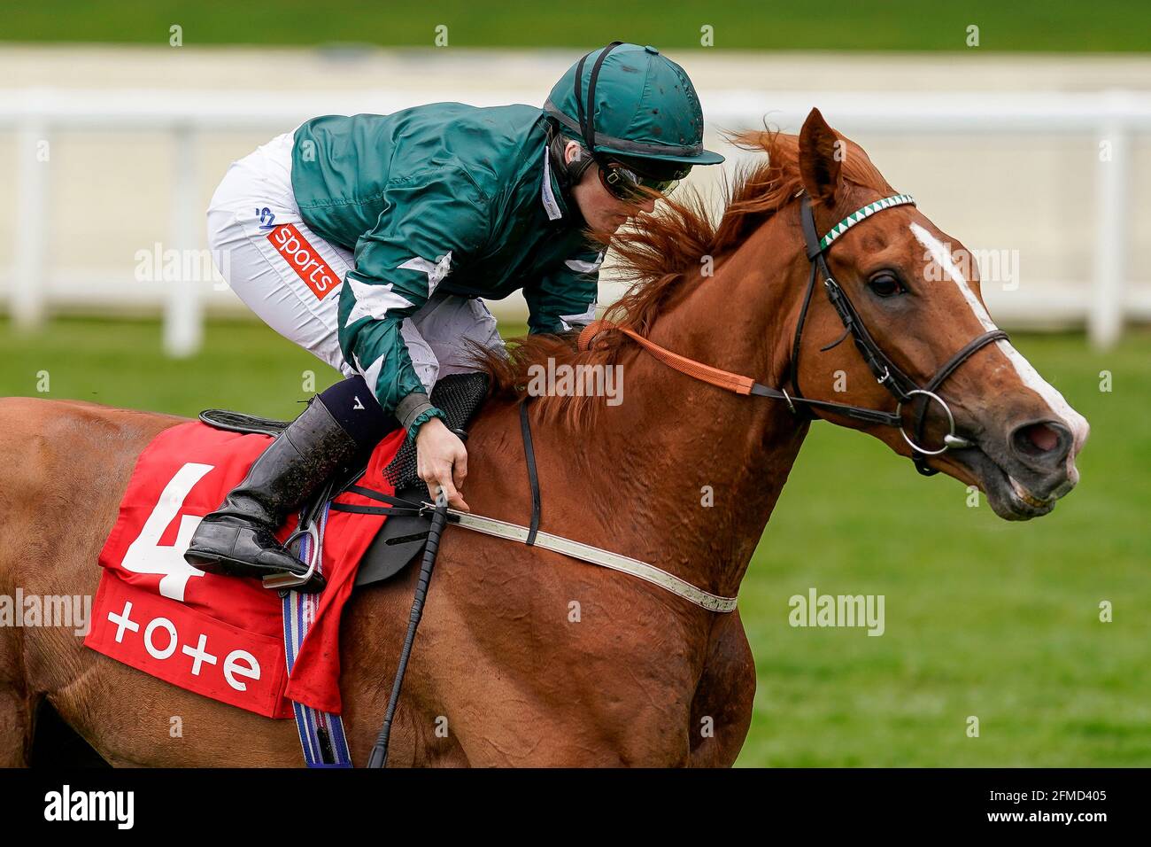 Louganini guidato da Hollie Doyle vince la tote+ in esclusiva a tote.co.uk handicap durante il Tote+ May Racing Weekend 2021 presso l'ippodromo di Ascot. Data immagine: Sabato 8 maggio 2021. Guarda la storia di PA RACING Ascot. Il credito fotografico dovrebbe essere: Alan Croshurst/PA Wire. RESTRIZIONI: L'uso è soggetto a limitazioni. Solo per uso editoriale, nessun uso commerciale senza previo consenso del titolare dei diritti. Foto Stock