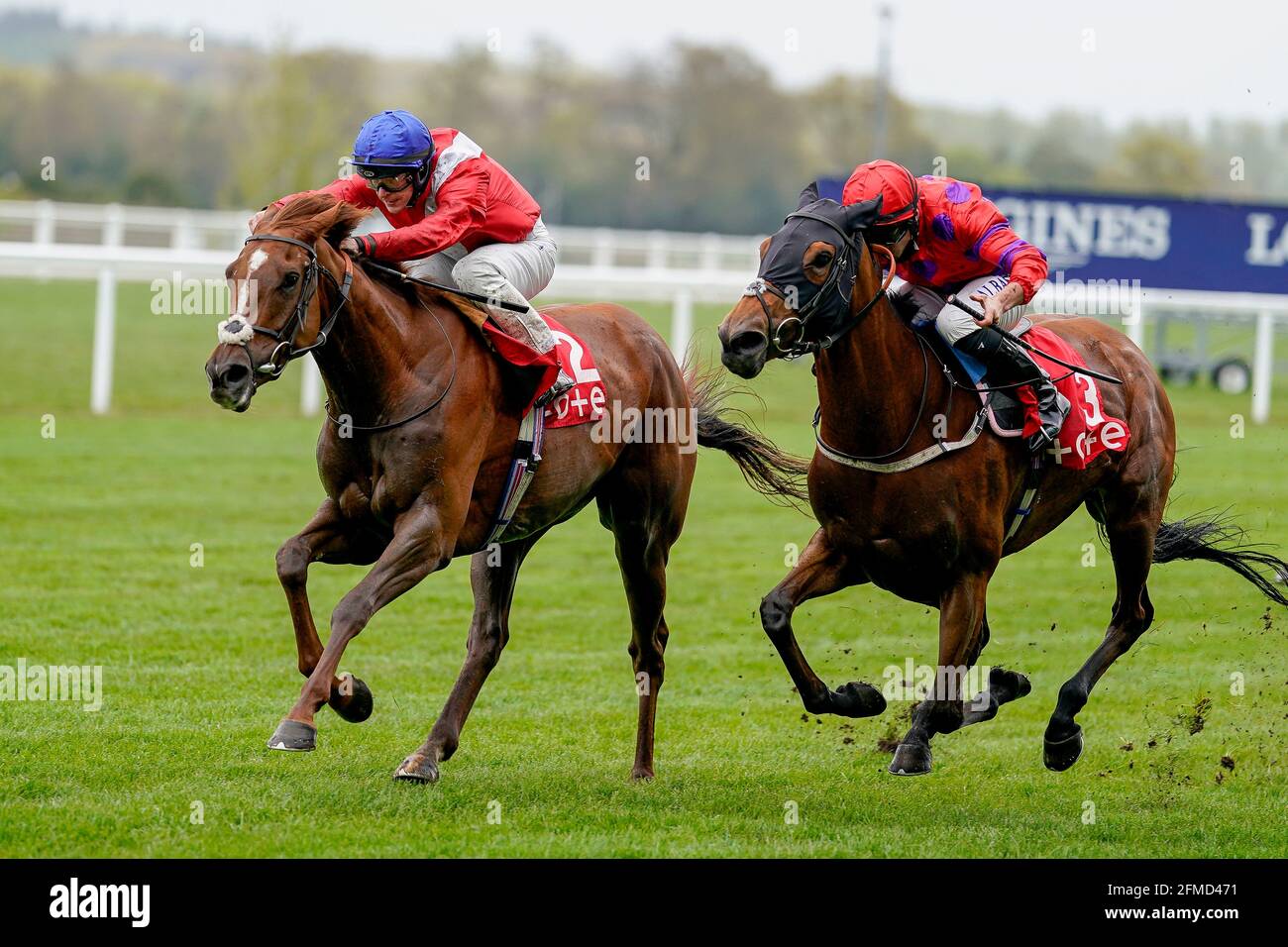 Lights on ridden by Richard Kingscote (tappo blu) vince la tote+ in esclusiva al tote.co.uk British EBF Fillies' handicap durante il Tote+ May Racing Weekend 2021 presso l'ippodromo di Ascot. Data immagine: Sabato 8 maggio 2021. Guarda la storia di PA RACING Ascot. Il credito fotografico dovrebbe essere: Alan Croshurst/PA Wire. RESTRIZIONI: L'uso è soggetto a limitazioni. Solo per uso editoriale, nessun uso commerciale senza previo consenso del titolare dei diritti. Foto Stock