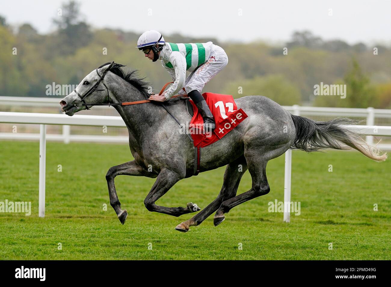 Albaflora guidato da Rossa Ryan vince facilmente la tote+ Pays More a tote.co.uk Buckhounds Stakes durante il Tote+ May Racing Weekend 2021 presso l'ippodromo di Ascot. Data immagine: Sabato 8 maggio 2021. Guarda la storia di PA RACING Ascot. Il credito fotografico dovrebbe essere: Alan Croshurst/PA Wire. RESTRIZIONI: L'uso è soggetto a limitazioni. Solo per uso editoriale, nessun uso commerciale senza previo consenso del titolare dei diritti. Foto Stock