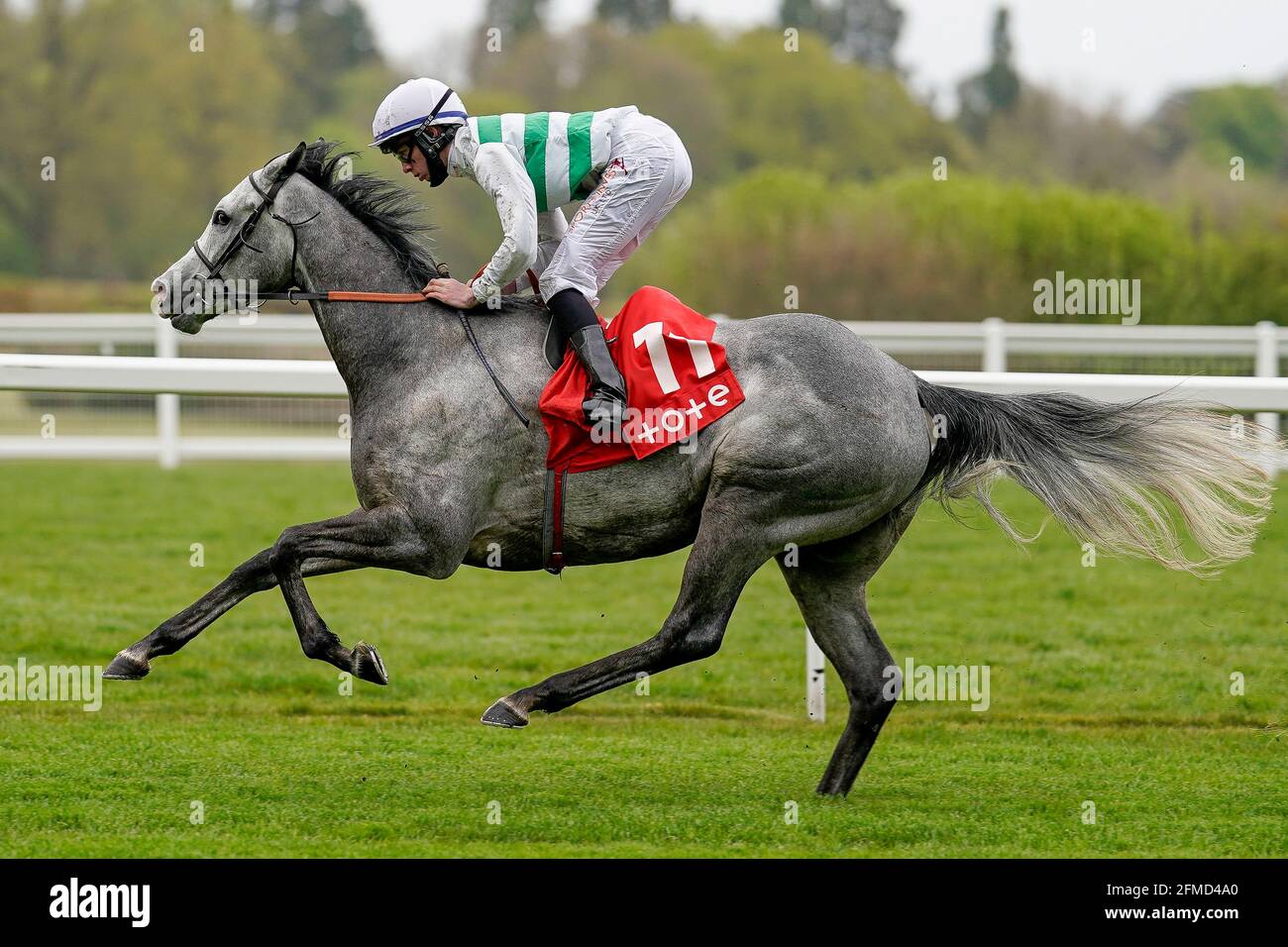 Albaflora guidato da Rossa Ryan vince facilmente la tote+ Pays More a tote.co.uk Buckhounds Stakes durante il Tote+ May Racing Weekend 2021 presso l'ippodromo di Ascot. Data immagine: Sabato 8 maggio 2021. Guarda la storia di PA RACING Ascot. Il credito fotografico dovrebbe essere: Alan Croshurst/PA Wire. RESTRIZIONI: L'uso è soggetto a limitazioni. Solo per uso editoriale, nessun uso commerciale senza previo consenso del titolare dei diritti. Foto Stock