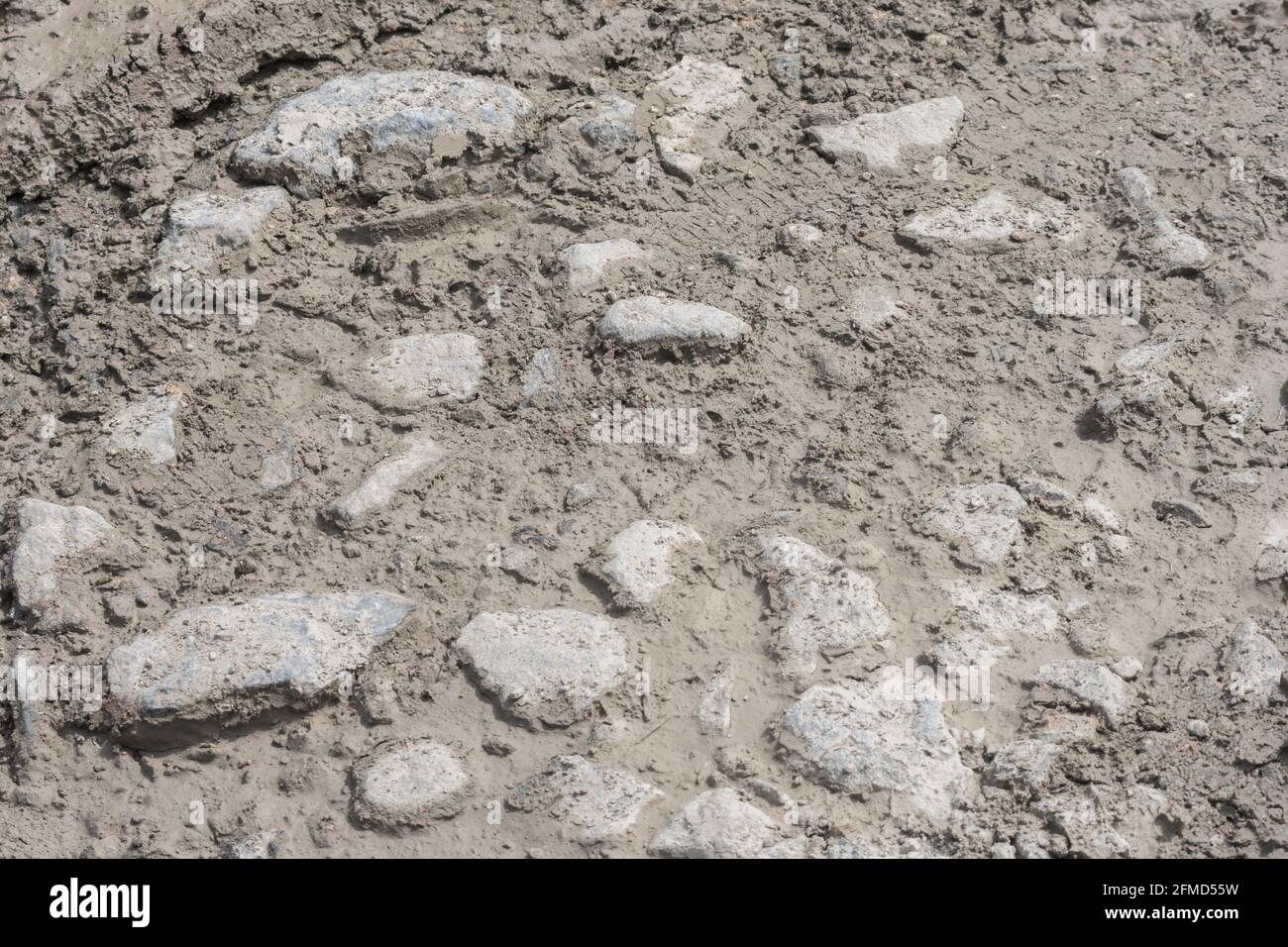 Pista di sterrato rocciosa imbevuta di fango e asciugandosi al sole. Caduta su metafora del terreno sassoso, guida sconnessa, superficie irregolare, struttura ruvida, strade povere. Foto Stock