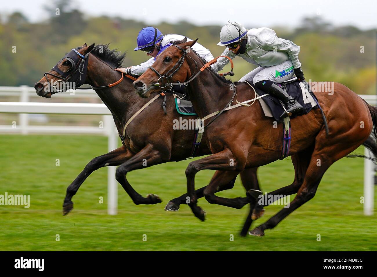 Mystery Show guidato da Hollie Doyle (a sinistra) vince la tote+ in esclusiva per l'handicap tote.co.uk della Silk Series Fillies durante il Tote+ May Racing Weekend 2021 presso l'ippodromo di Ascot. Data immagine: Sabato 8 maggio 2021. Guarda la storia di PA RACING Ascot. Il credito fotografico dovrebbe essere: Alan Croshurst/PA Wire. RESTRIZIONI: L'uso è soggetto a limitazioni. Solo per uso editoriale, nessun uso commerciale senza previo consenso del titolare dei diritti. Foto Stock