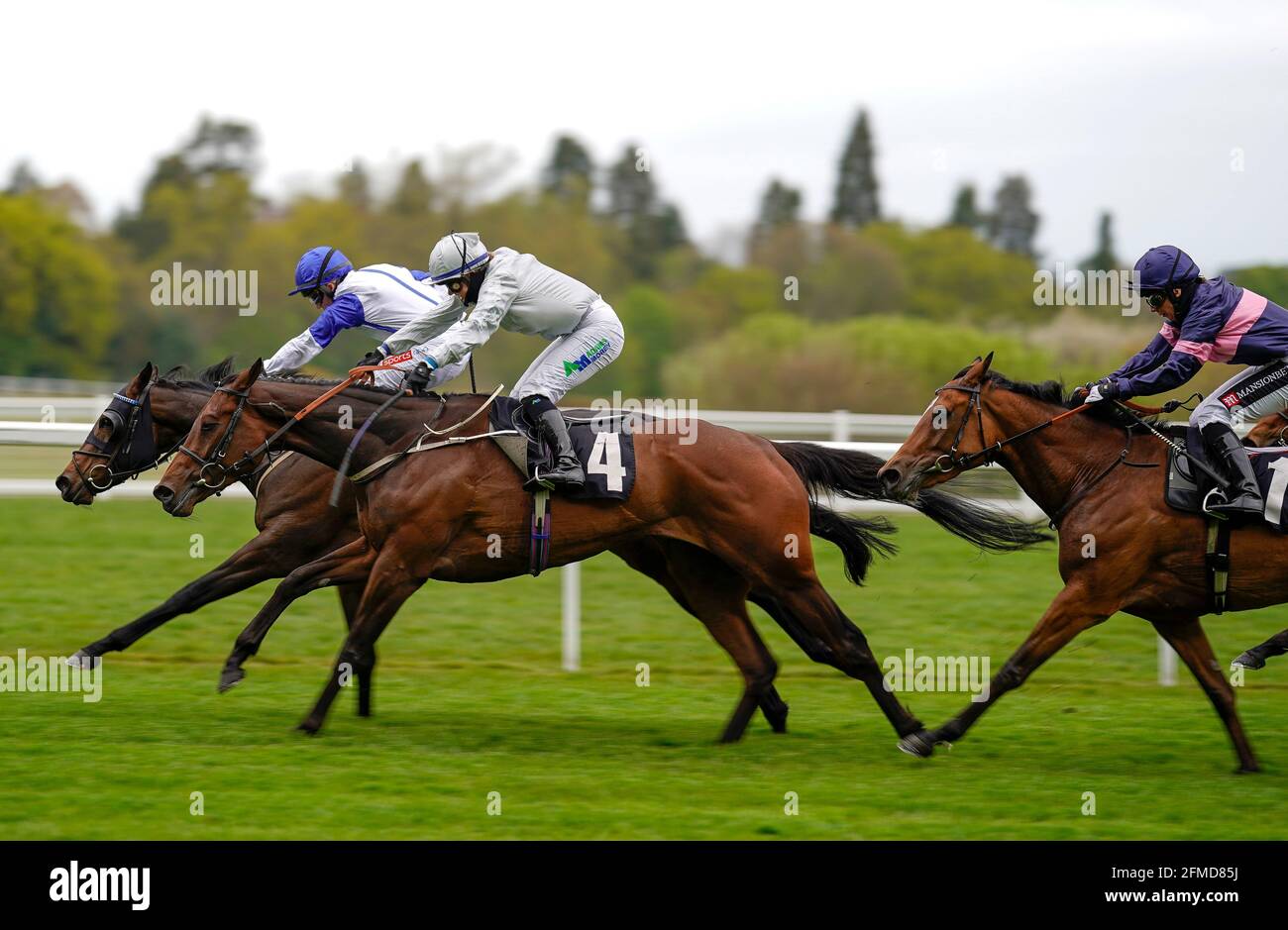 Mystery Show guidato da Hollie Doyle (a sinistra) vince la tote+ in esclusiva per l'handicap tote.co.uk della Silk Series Fillies durante il Tote+ May Racing Weekend 2021 presso l'ippodromo di Ascot. Data immagine: Sabato 8 maggio 2021. Guarda la storia di PA RACING Ascot. Il credito fotografico dovrebbe essere: Alan Croshurst/PA Wire. RESTRIZIONI: L'uso è soggetto a limitazioni. Solo per uso editoriale, nessun uso commerciale senza previo consenso del titolare dei diritti. Foto Stock