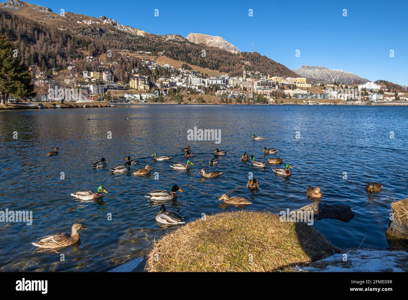 St. Moritz, Svizzera - 26 novembre 2020: St. Moritz è un'alta località alpina dell'Engadina in Svizzera, a un'altitudine di circa 1,800 m Foto Stock