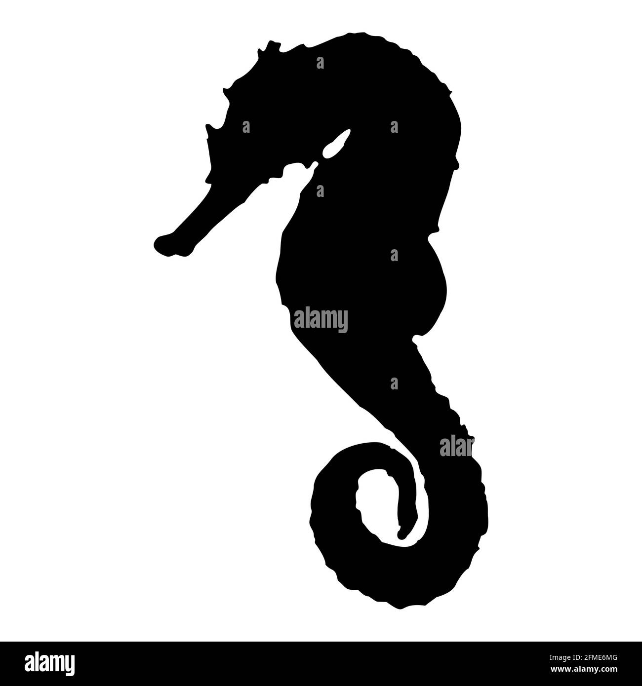 Cavallo di mare. Profilo nero isolato di un animale marino su sfondo bianco. Illustrazione di clipart vettoriali. Illustrazione Vettoriale