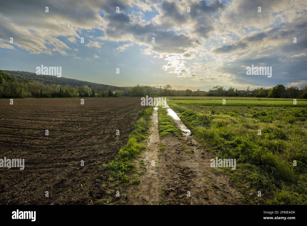 Fucus sul primo tempo selettivo. Muddy Country Road a Bright Horizon. Tracce di acqua da Last Storm. Foto Stock