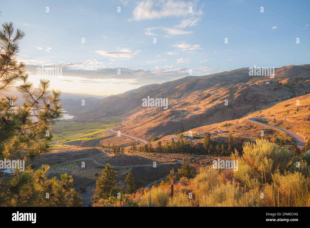 Tramonto luce dorata sui vigneti e frutteti della valle di Okanagan a Osoyoos, British Columbia, Canada, campagna vinicola paesaggio desertico ondulato. Foto Stock