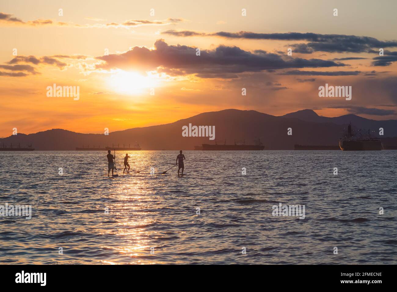 Silhouette di paddle boarders durante l'ora d'oro del tramonto luce on Sulle acque aperte dell'oceano Pacifico a Kitsilano Beach su un Idilliaca serata estiva a Vancou Foto Stock