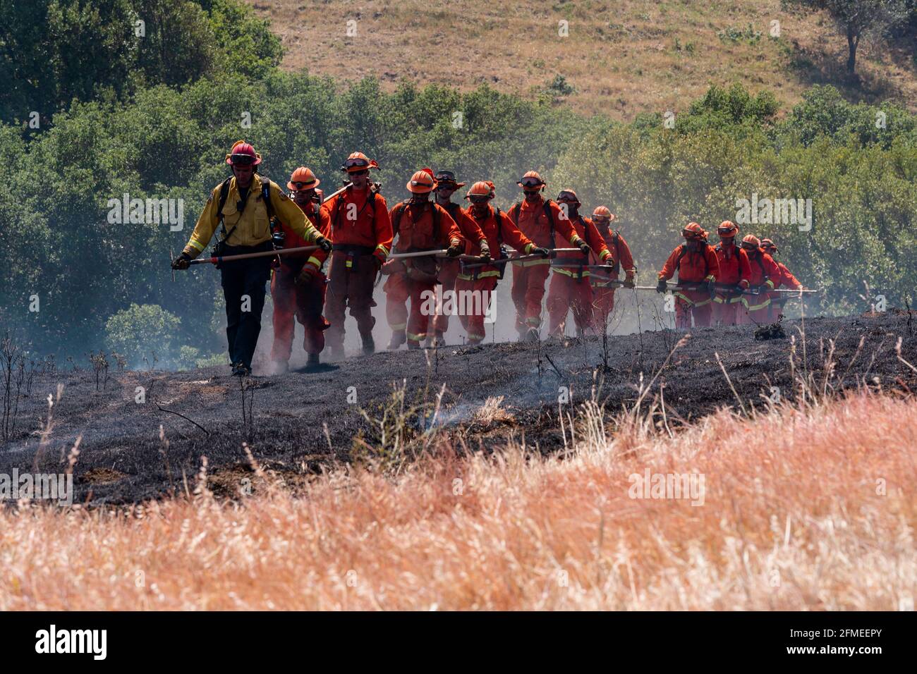 Benicia, California, Stati Uniti. 8 maggio 2021. Un equipaggio a mano del Dipartimento di correzioni e Riabilitazione della California Delta Camp cammina attraverso l'erba annerita al Lopes Fire. Credit: Jungho Kim/ZUMA Wire/Alamy Live News Foto Stock