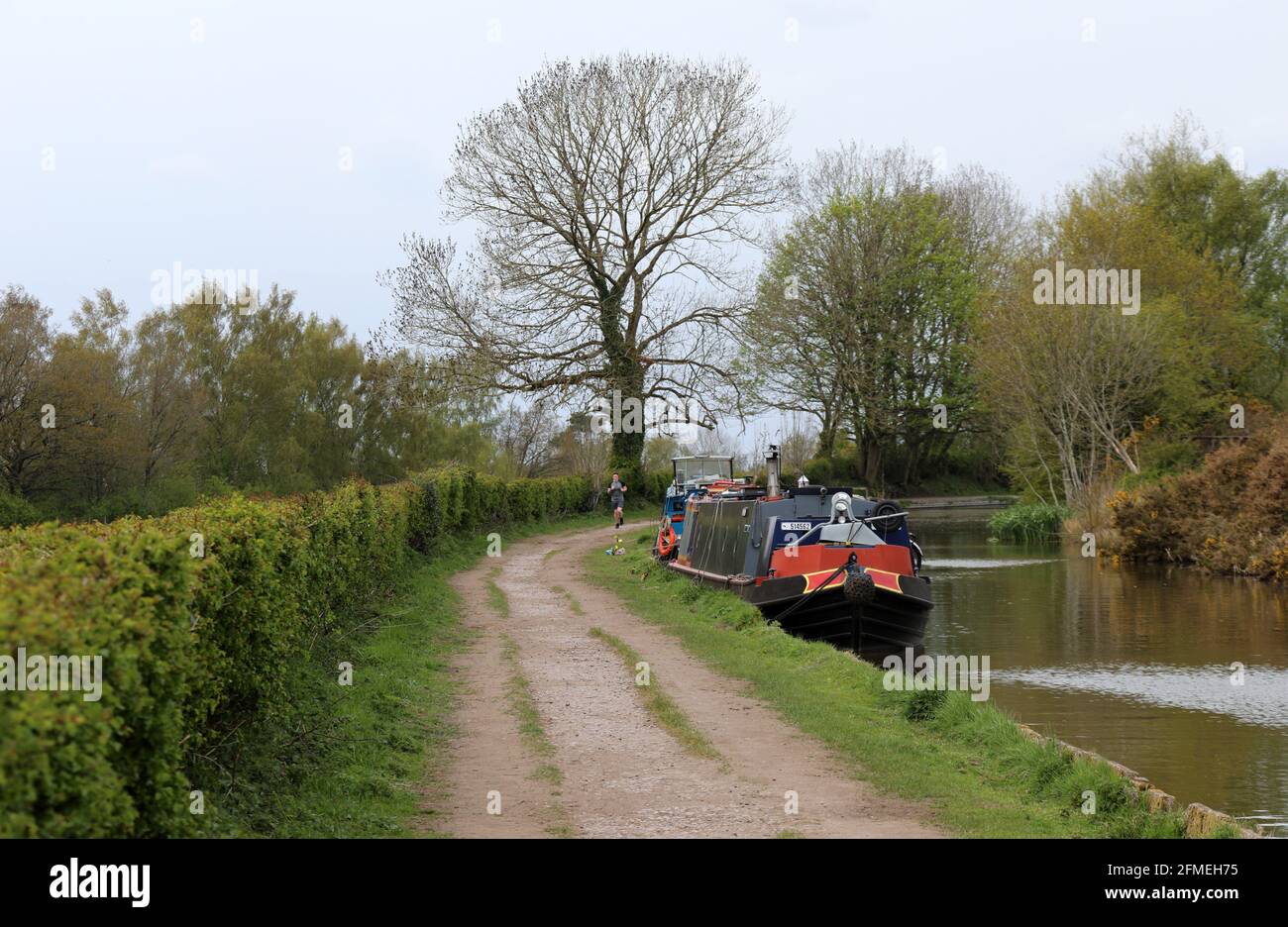 Alzaia presso il canale Macclesfield Foto Stock