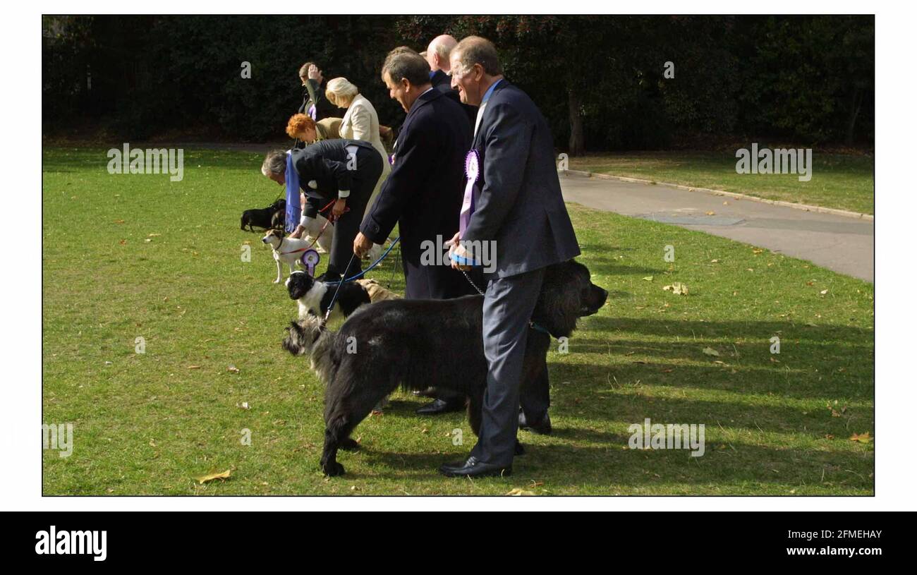 Cane dell'anno di Westminster....... E IL VINCITORE È..Roger Gale Tory NP per North Thanetand Lulu il 20 mese vecchio Terranova pic David Sandison 10/2003/18 Foto Stock