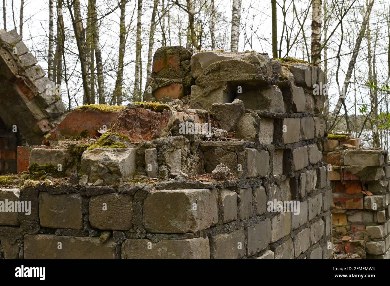 Primo piano dell'angolo della costruzione abbandonata di una casa in mattoni bianchi nei boschi. Foto Stock