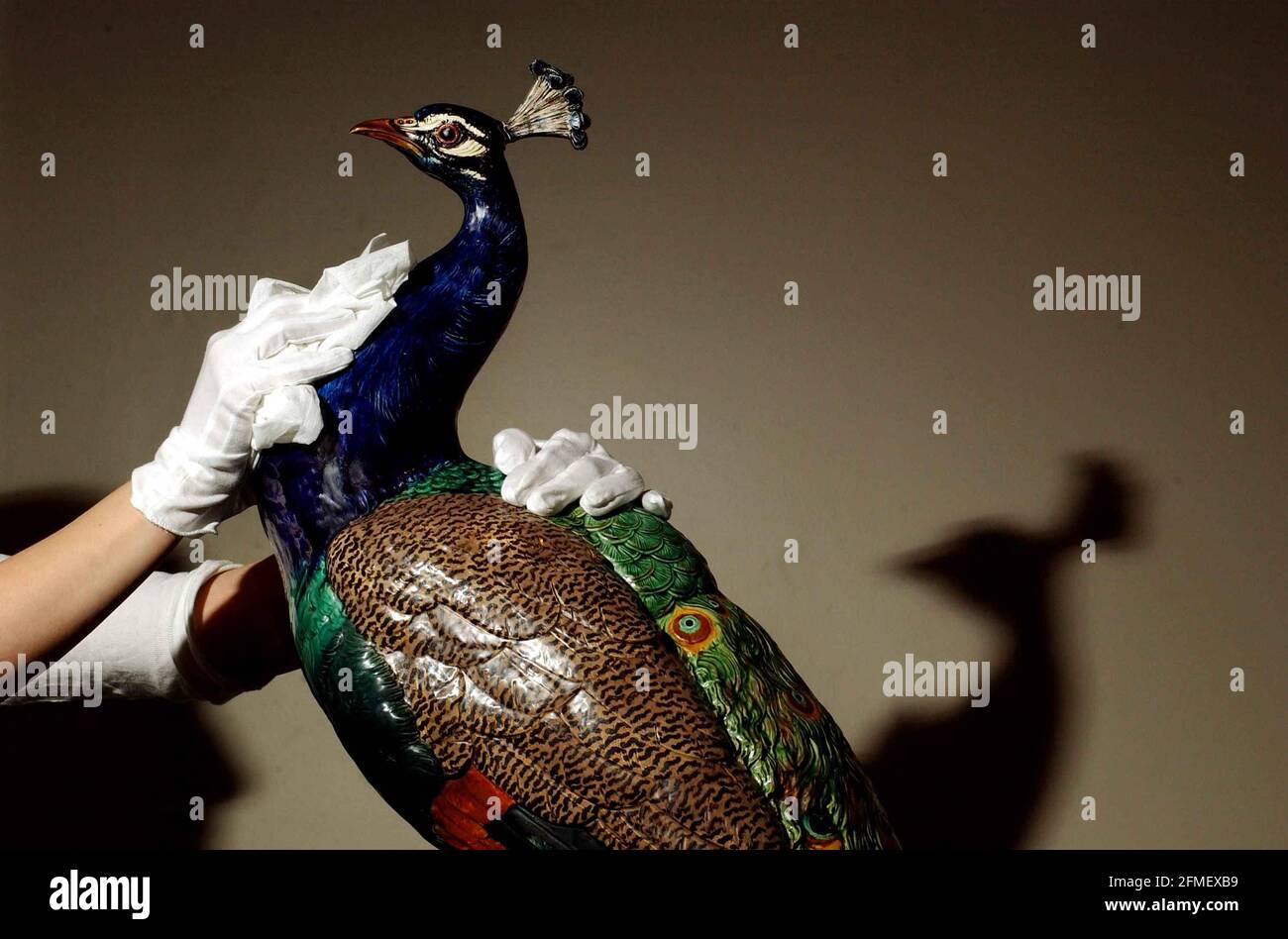 "Peacock" dello scultore Minton Majolica. Star lot in Minton Museum, vendita collezione a Bonhams Auctioneers da vendere in estate-data e prezzo preventivo da confermare.21 marzo 2002 foto Andy Paradise Foto Stock