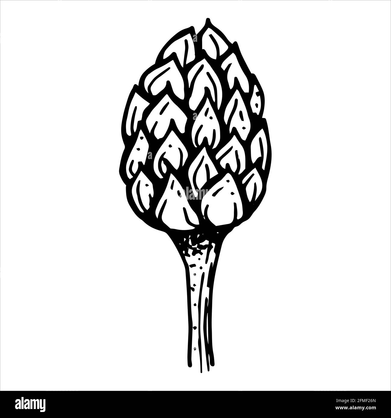 Carciofo o boccioli di fiori Illustrazione Vettoriale