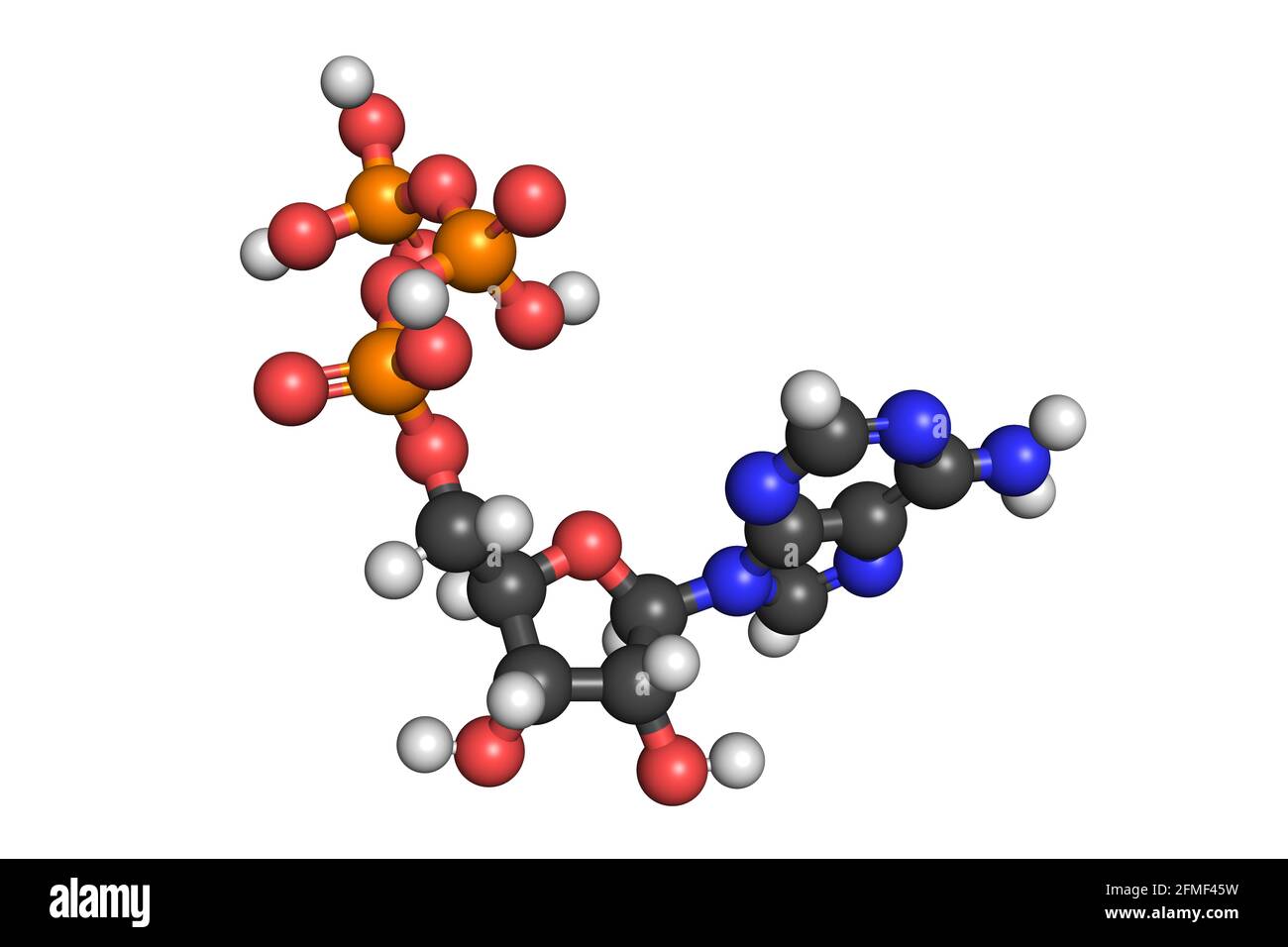 La molecola ATP trifosfato di adenosina 3D rende la struttura chimica Foto Stock