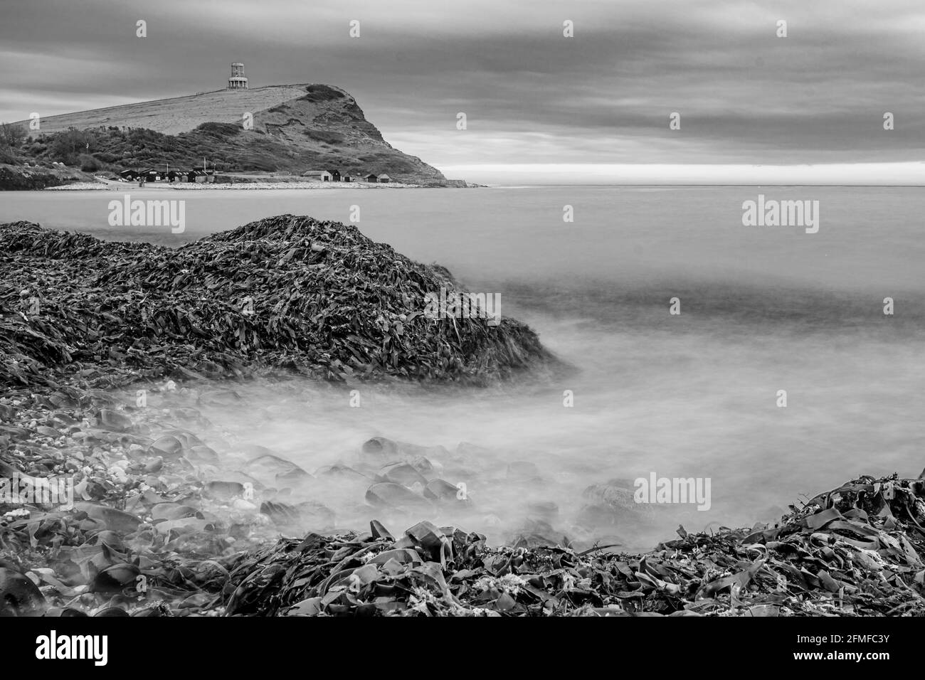 Kimmeridge Bay caccia ai fossili, Dorset, Regno Unito Foto Stock