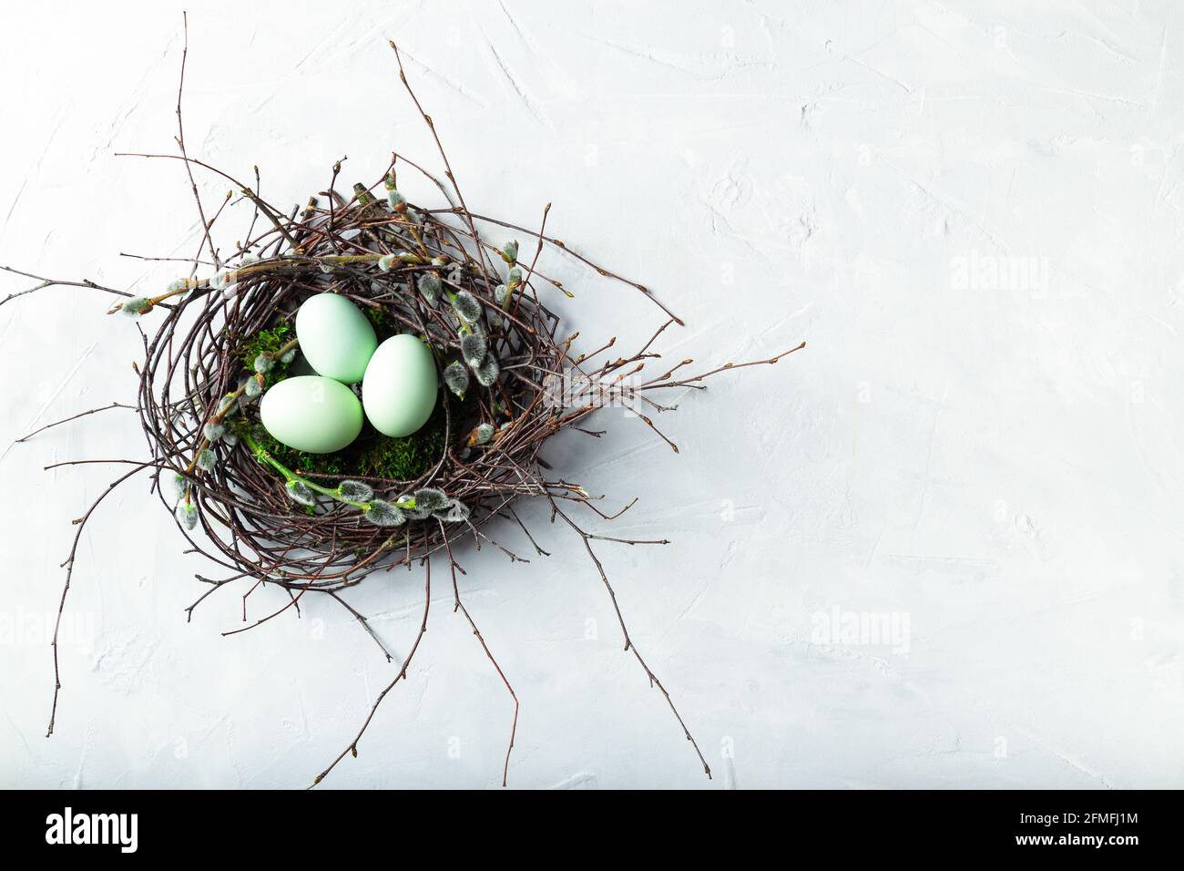 Uova di Pasqua in nido naturale con muschio e ramoscelli di salice su fondo bianco di cemento. Vista dall'alto. Spazio per il testo. Foto Stock