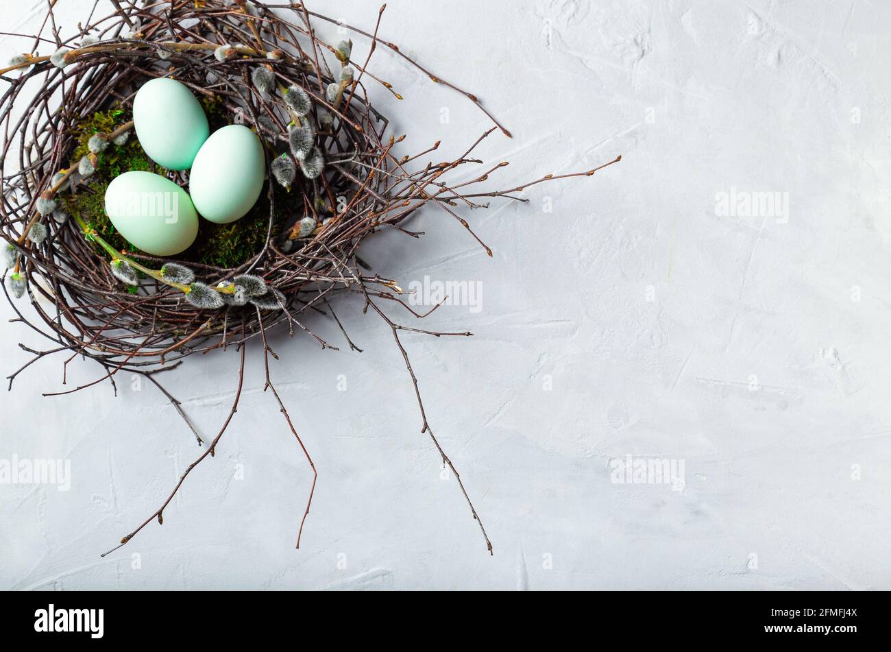 Uova di Pasqua in nido naturale con muschio e ramoscelli di salice su fondo bianco di cemento. Vista dall'alto. Spazio per il testo. Foto Stock
