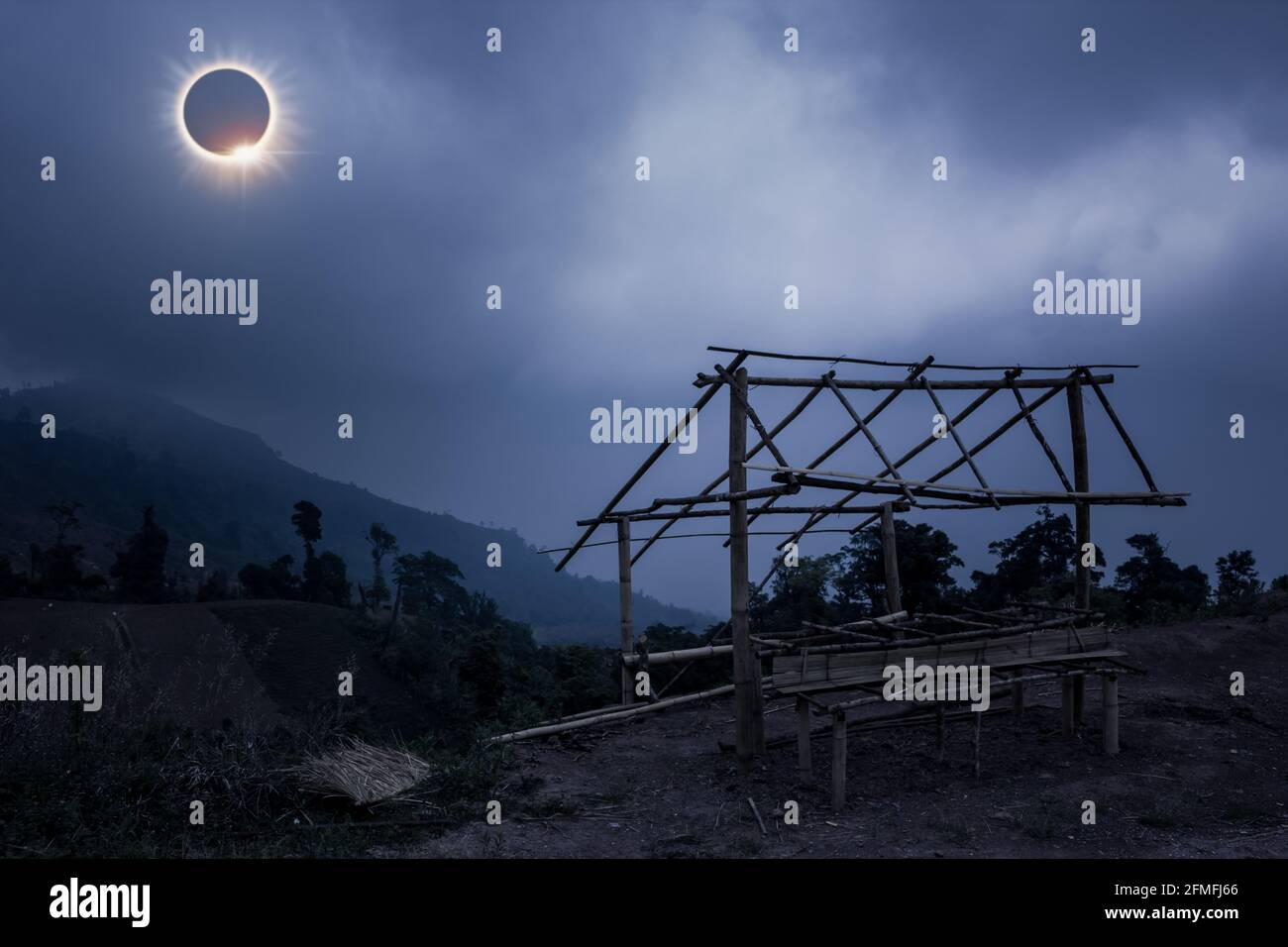 Incredibile fenomeno scientifico naturale. La Luna che copre il sole totale eclissi solare con effetto anello di diamante che illumina su cielo blu sopra bambù piccolo Foto Stock