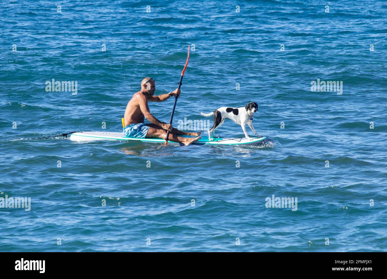 Uomo paddle boarding con cane a bordo. Paddleboarder con cane Foto Stock