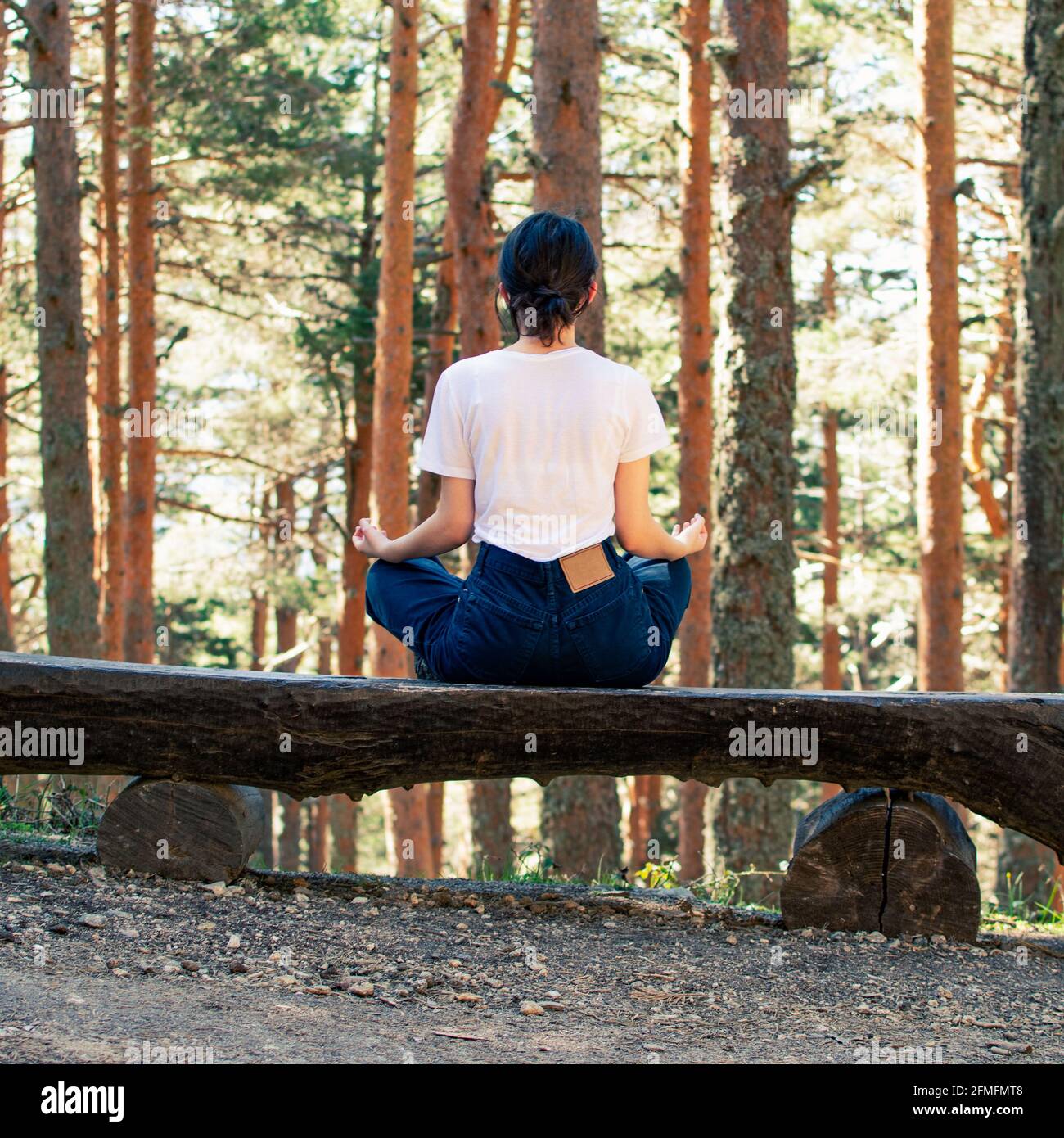 Giovane donna che fa yoga in una foresta. Rapporto quadrato. Foto Stock
