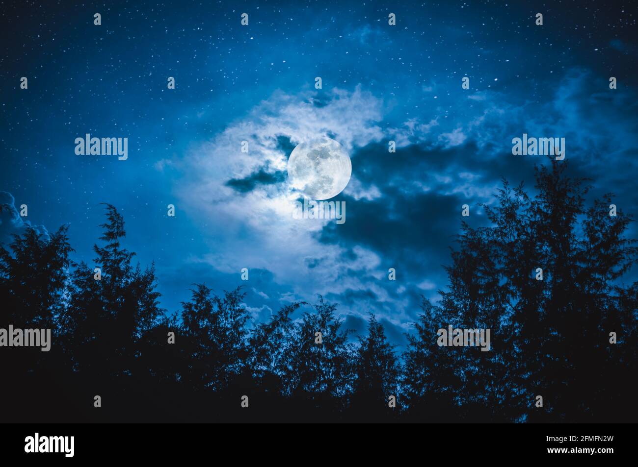 Bellissimo cielo notturno con molte stelle e luna piena dietro parziale nuvoloso sopra sagome di alberi. Serenità natura sfondo. La luna presa con il mio Foto Stock