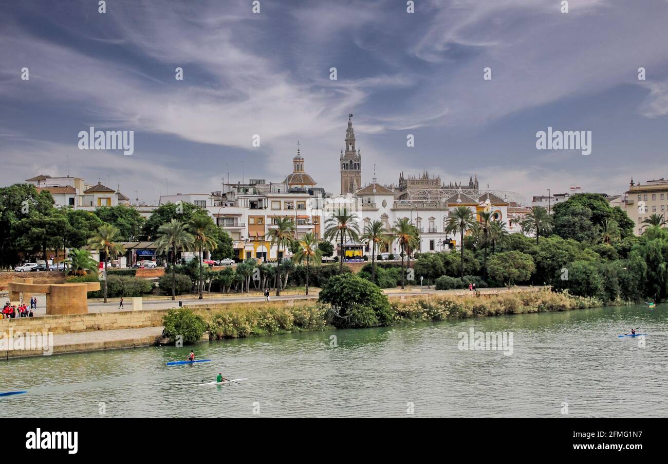 Siviglia, una delle città più belle dell'Andalusia con la Torre del Oro sullo sfondo, la Spagna Foto Stock