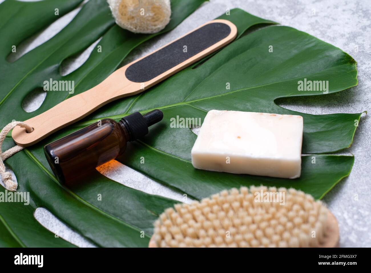 Cosmetici naturali per il bagno sullo sfondo di una foglia di palma. Sapone idratante per il corpo, siero e olio, loofah e spazzola di drenaggio. Foto Stock