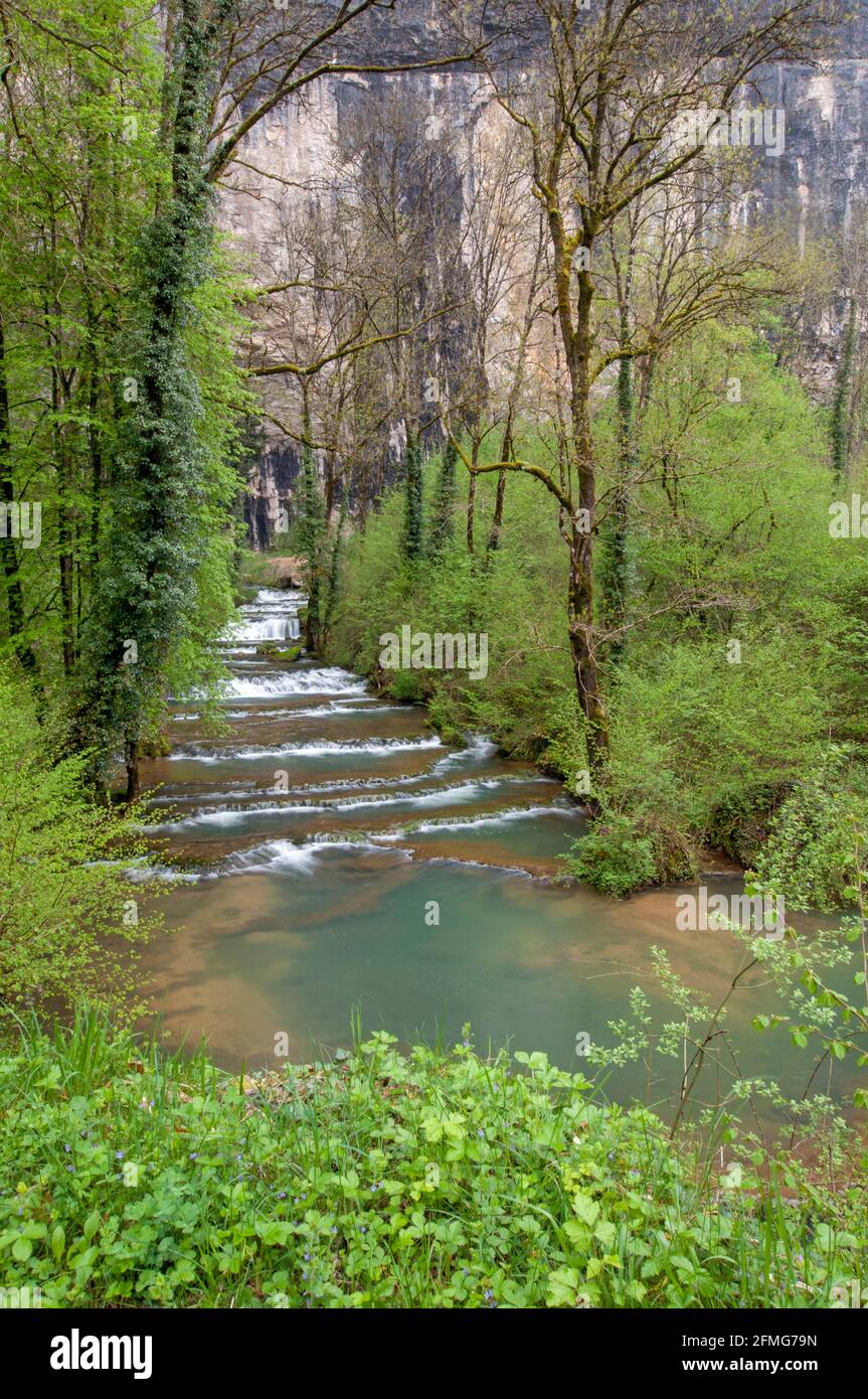 La Seille fiume in Baume-les-Messieurs, Giura (39), Borgogna-Franche-Comte, Francia Foto Stock