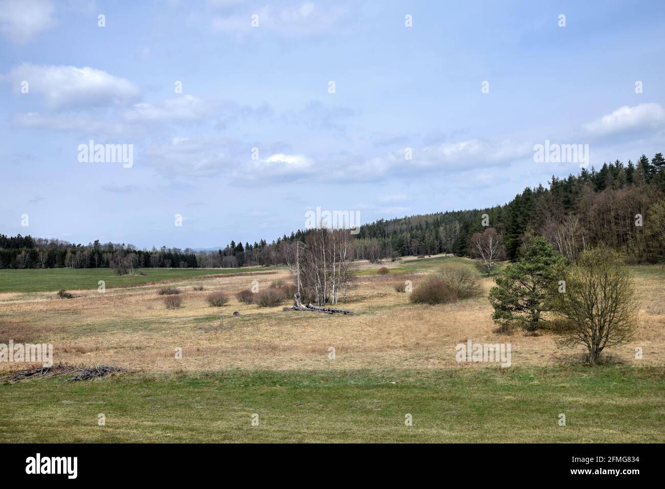 Paludi di Tis, distretto di Louny, Repubblica Ceca. Foto Stock