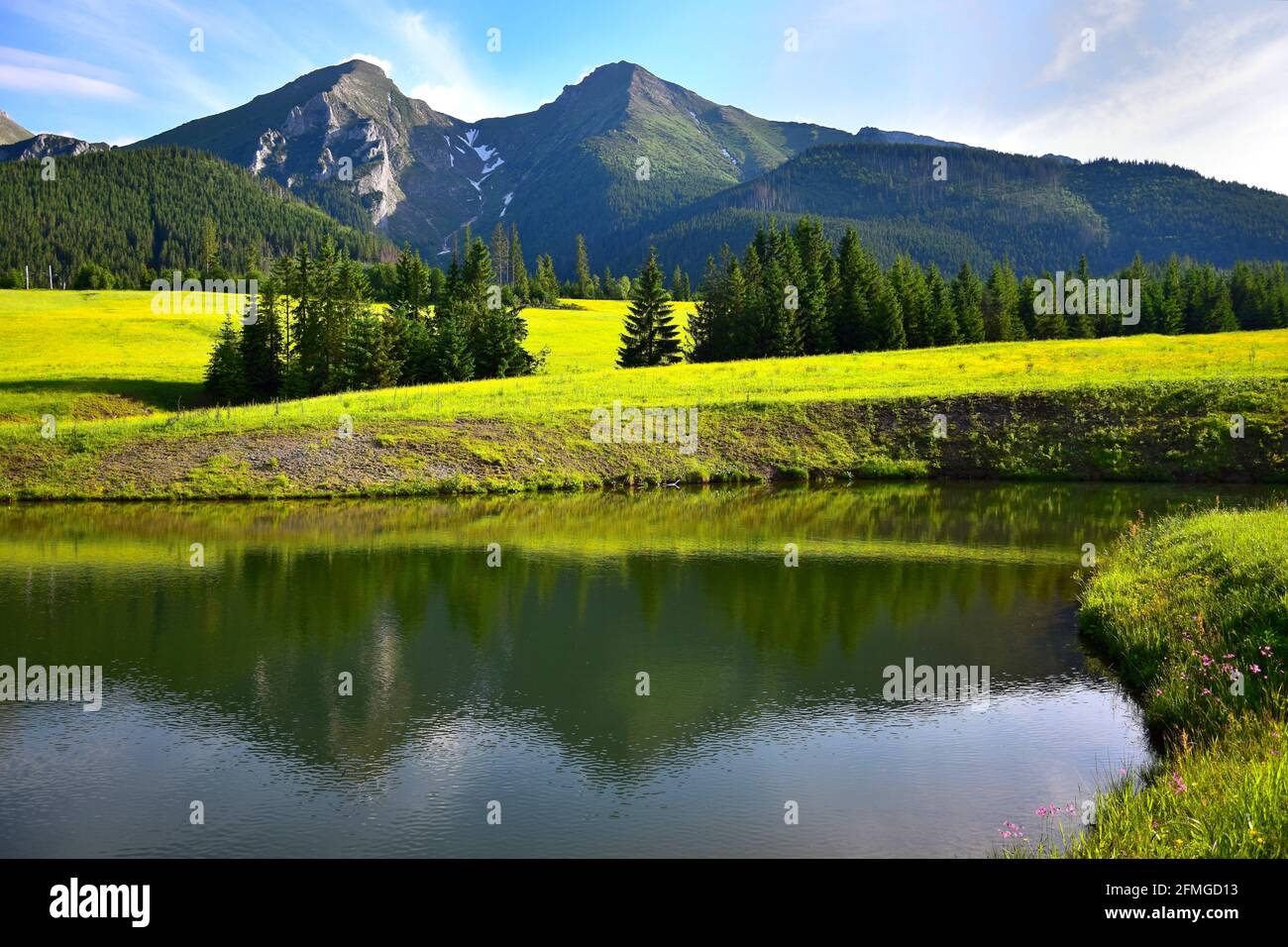 Le due montagne più alte del Belianske Tatra, Havran e Zdiarska vidla, al sole della sera. Un prato di fiori gialli e uno stagno di fronte. Foto Stock