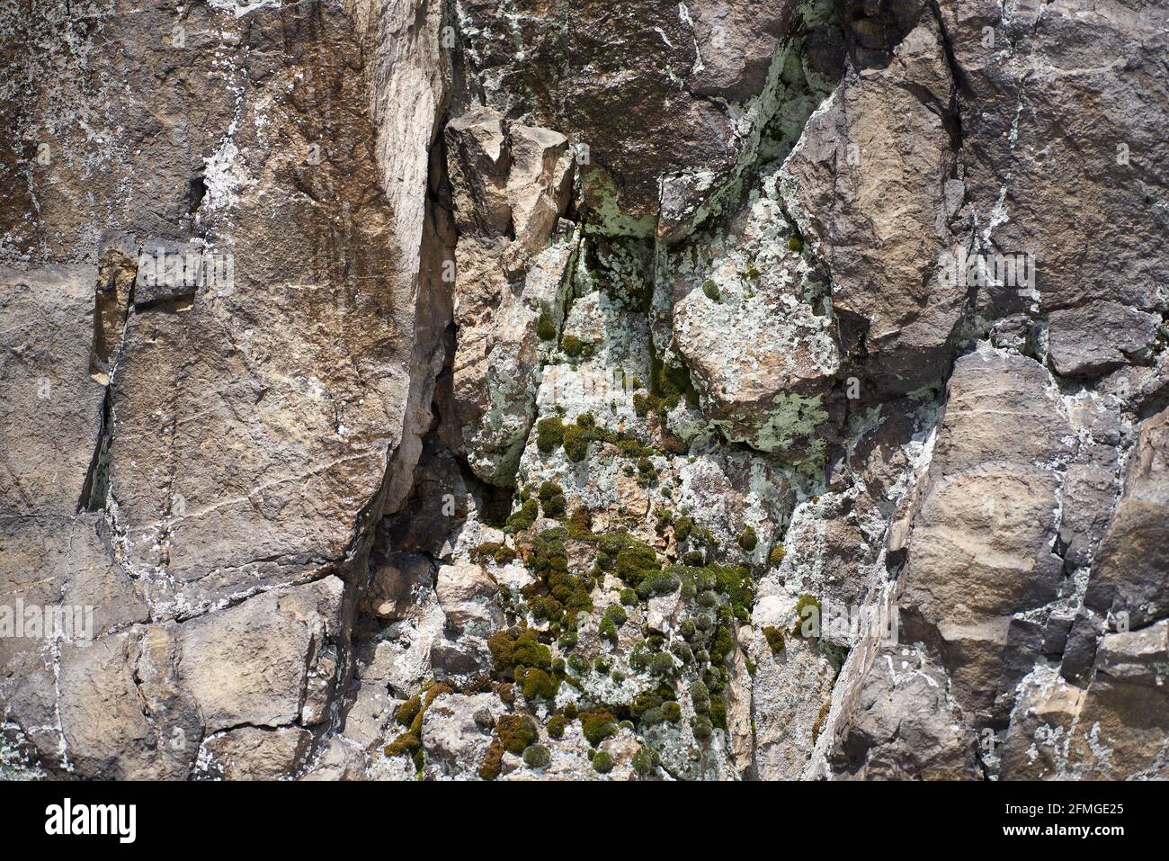 Superficie rocciosa riccamente strutturata con un po' di muschio - dettaglio della parete verticale del Bornstein, che fa parte del Bruchhauser Steine Foto Stock