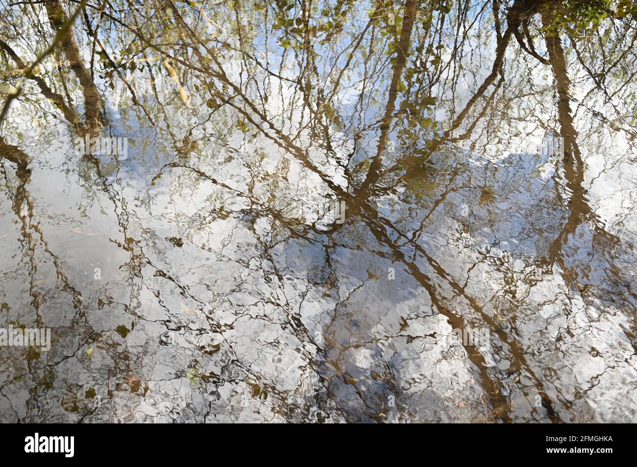 Riflessioni nel fiume Cray, Foots Cray Meadows, Sidcup, Kent. REGNO UNITO Foto Stock