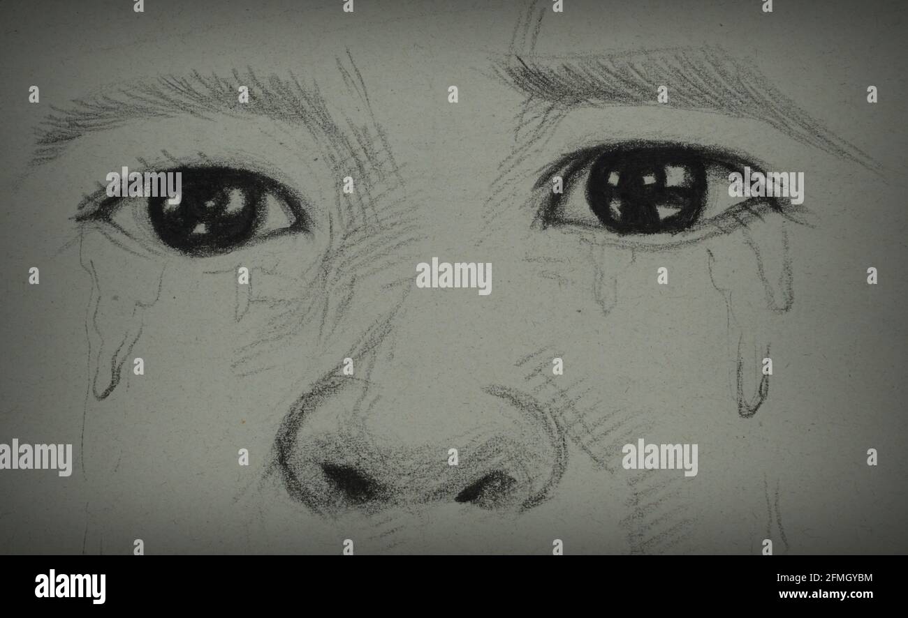Disegna linee, ombre chiare, occhi bellissimi. Foto Stock