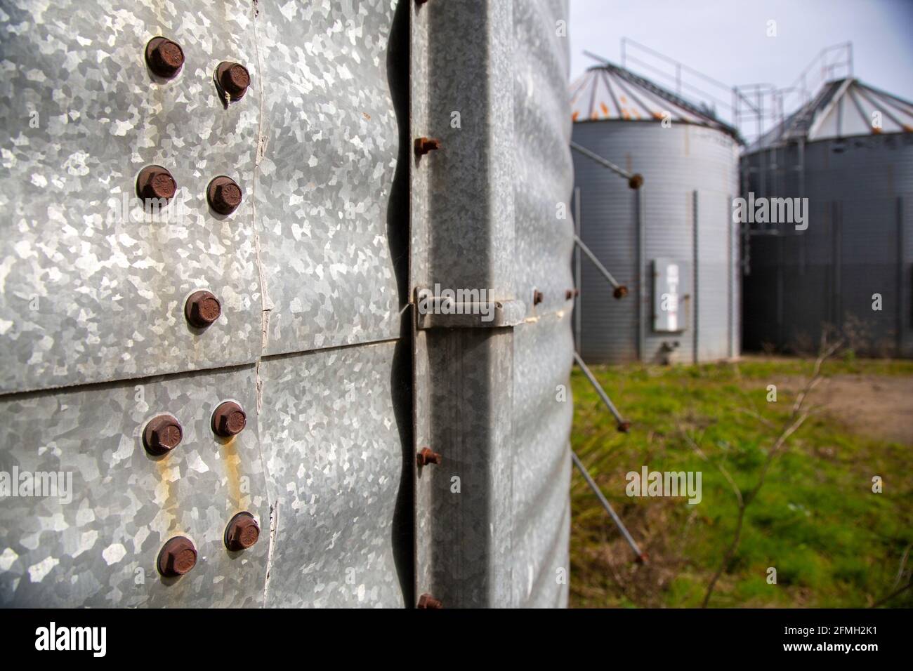 Serbatoi di stoccaggio di grano agricolo in metallo nel Kent Inghilterra UK Foto Stock