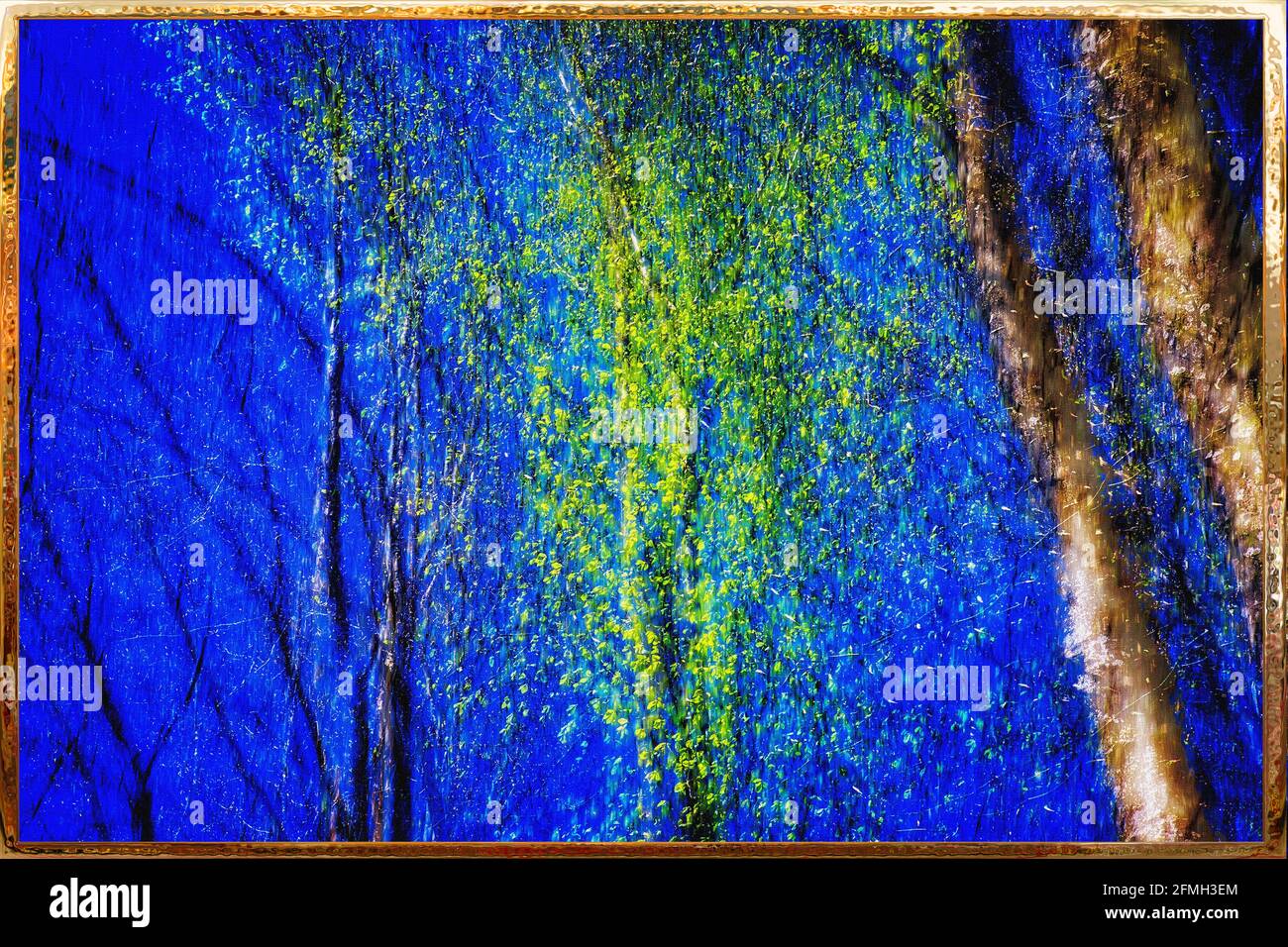 ARTE FOTOGRAFICA AZIENDALE: Primi segni di primavera (fotografia HDR/ICM) Foto Stock