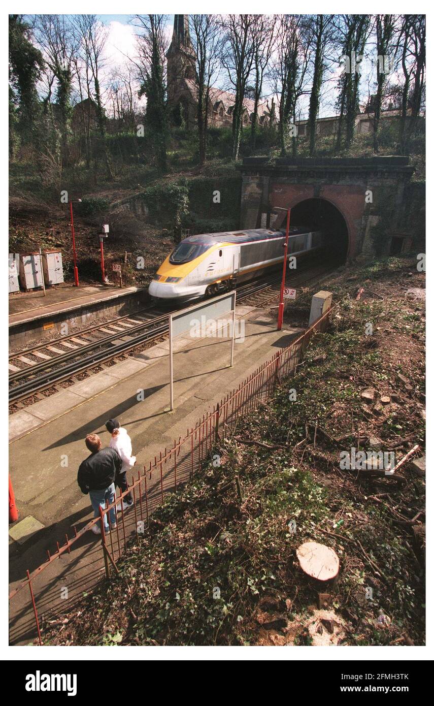 Ferrovia che ha tagliato gli alberi giù dal lato della linea ferroviaria a fermata parte sulla linea e hanno sconvolto i conservatori Foto Stock