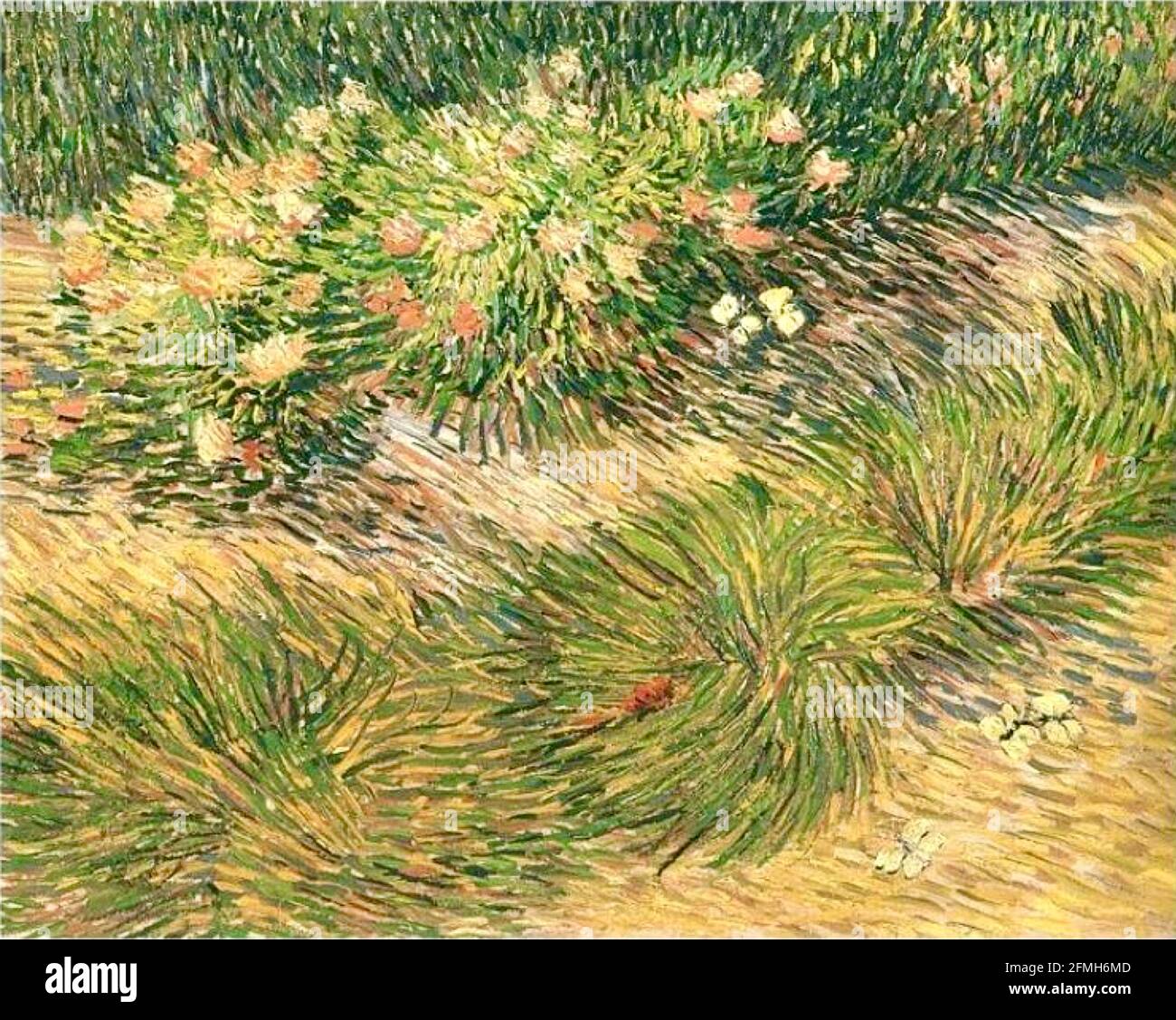 Vincent van Gogh opera intitolata Erba e Farfalle. Foto Stock